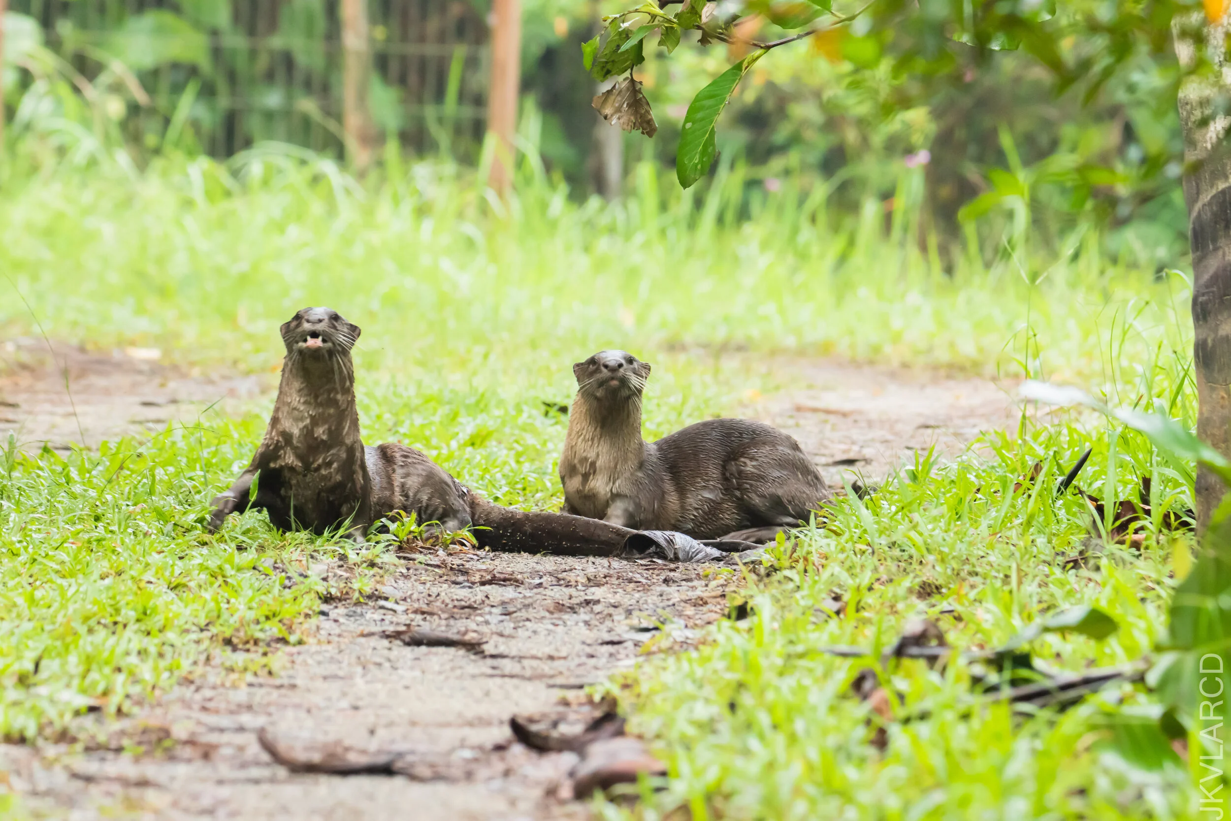 EOS 7D Mark II_2021_04_18_5788.jpg