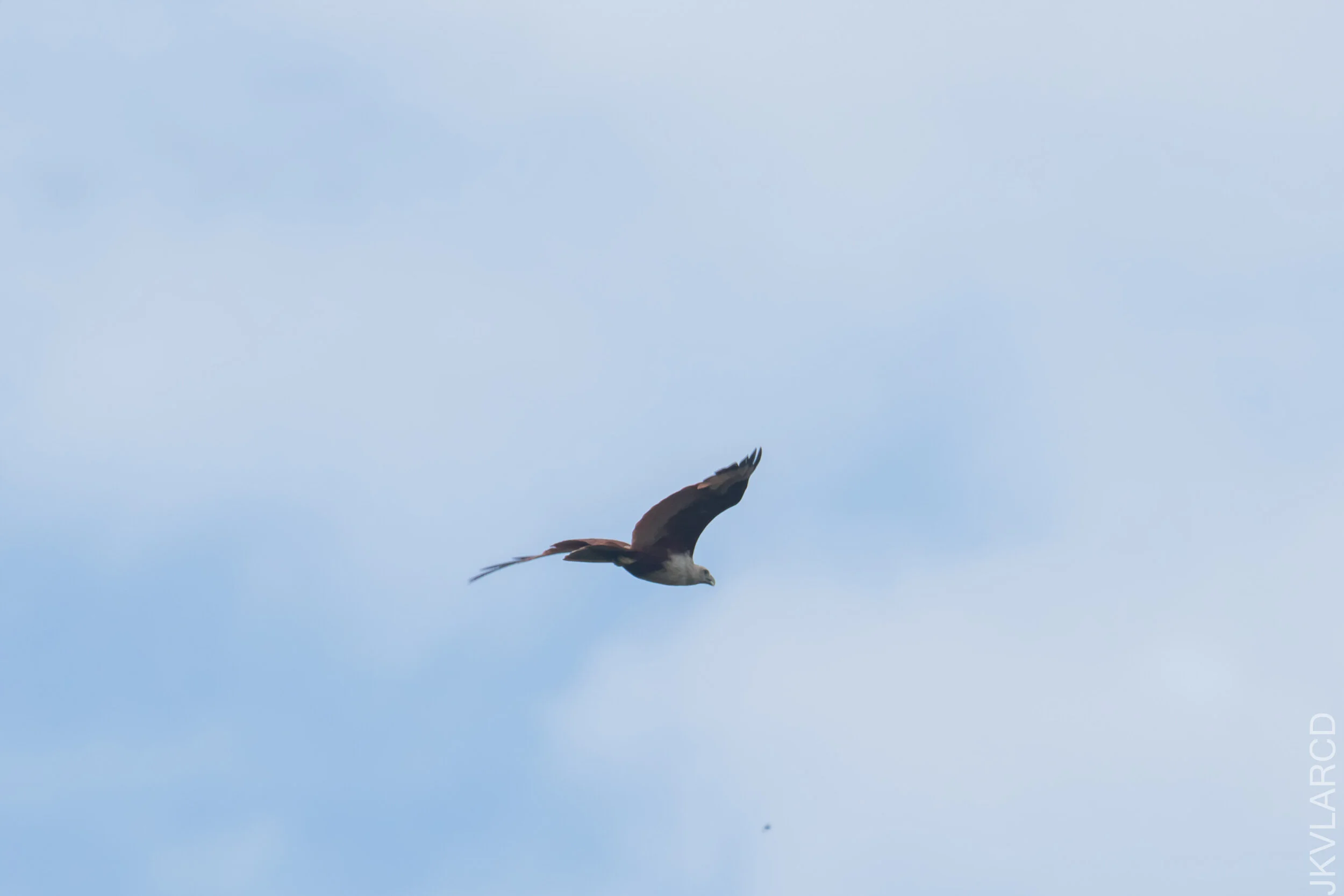 EOS 7D Mark II_2021_04_18_5826.jpg