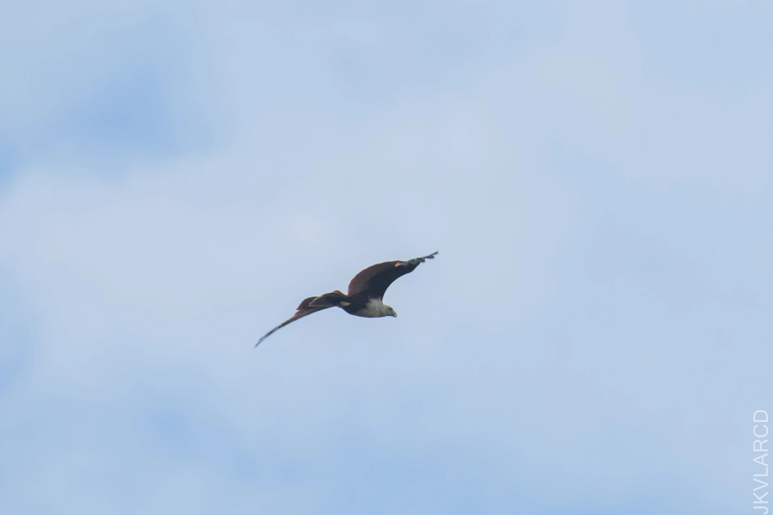 EOS 7D Mark II_2021_04_18_5829.jpg