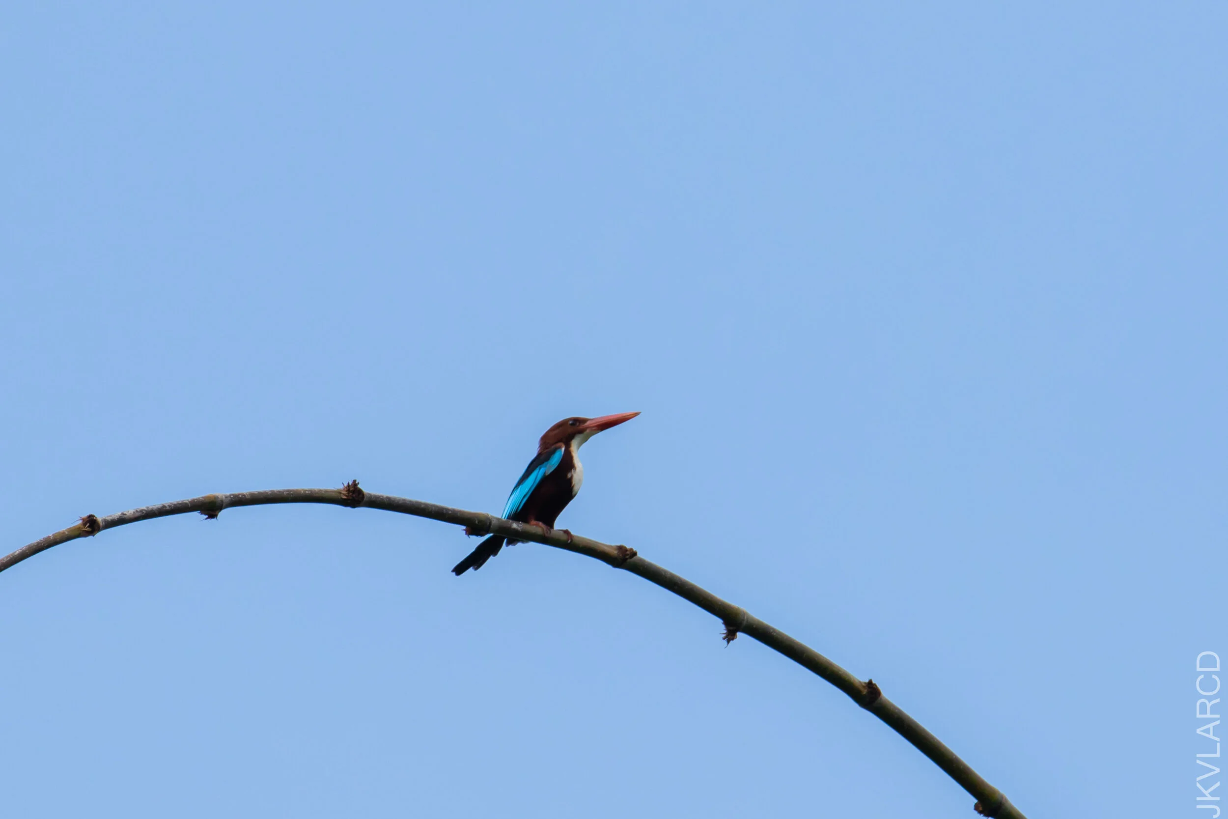 EOS 7D Mark II_2021_04_18_5881.jpg