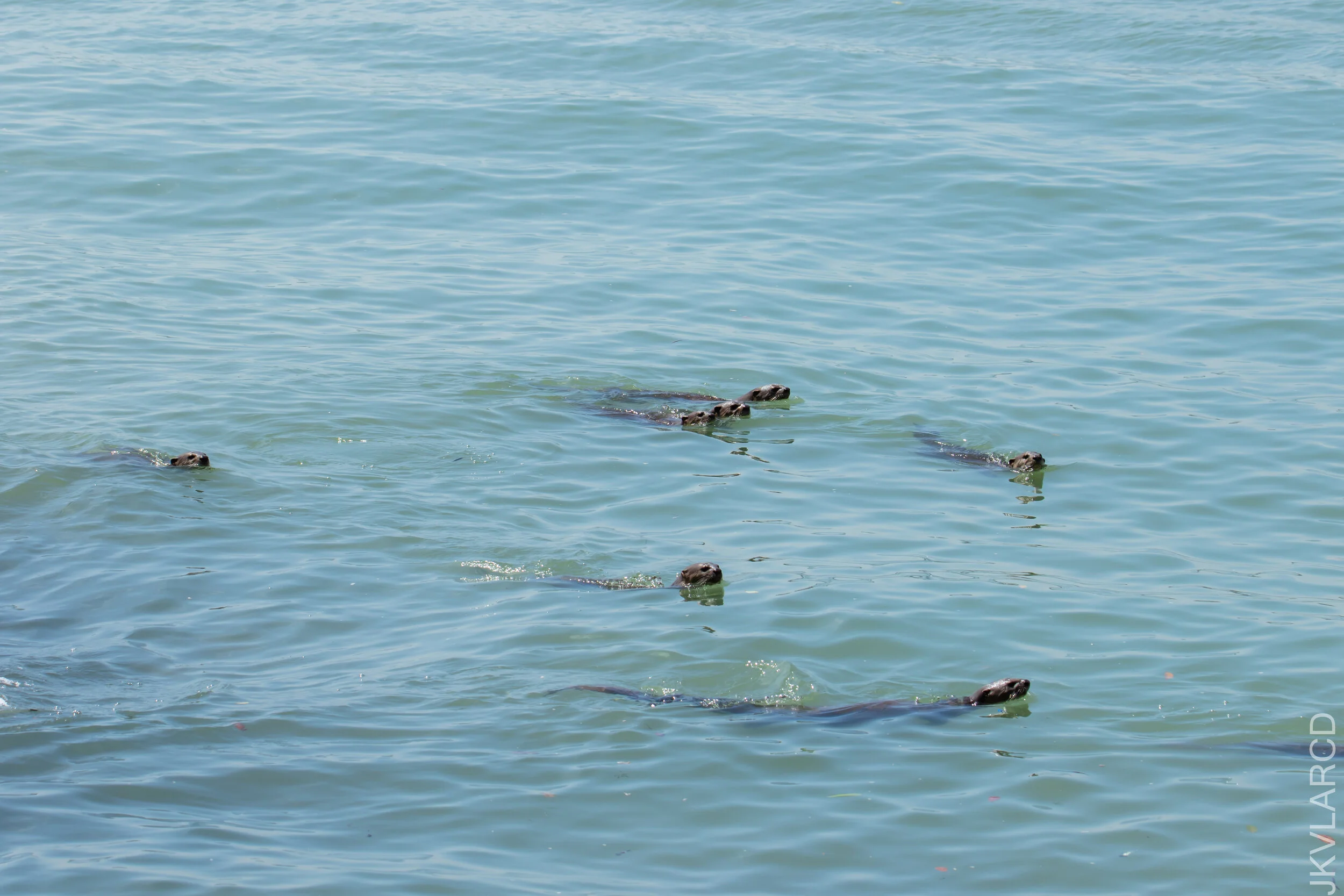 EOS 7D Mark II_2021_04_18_6200.jpg