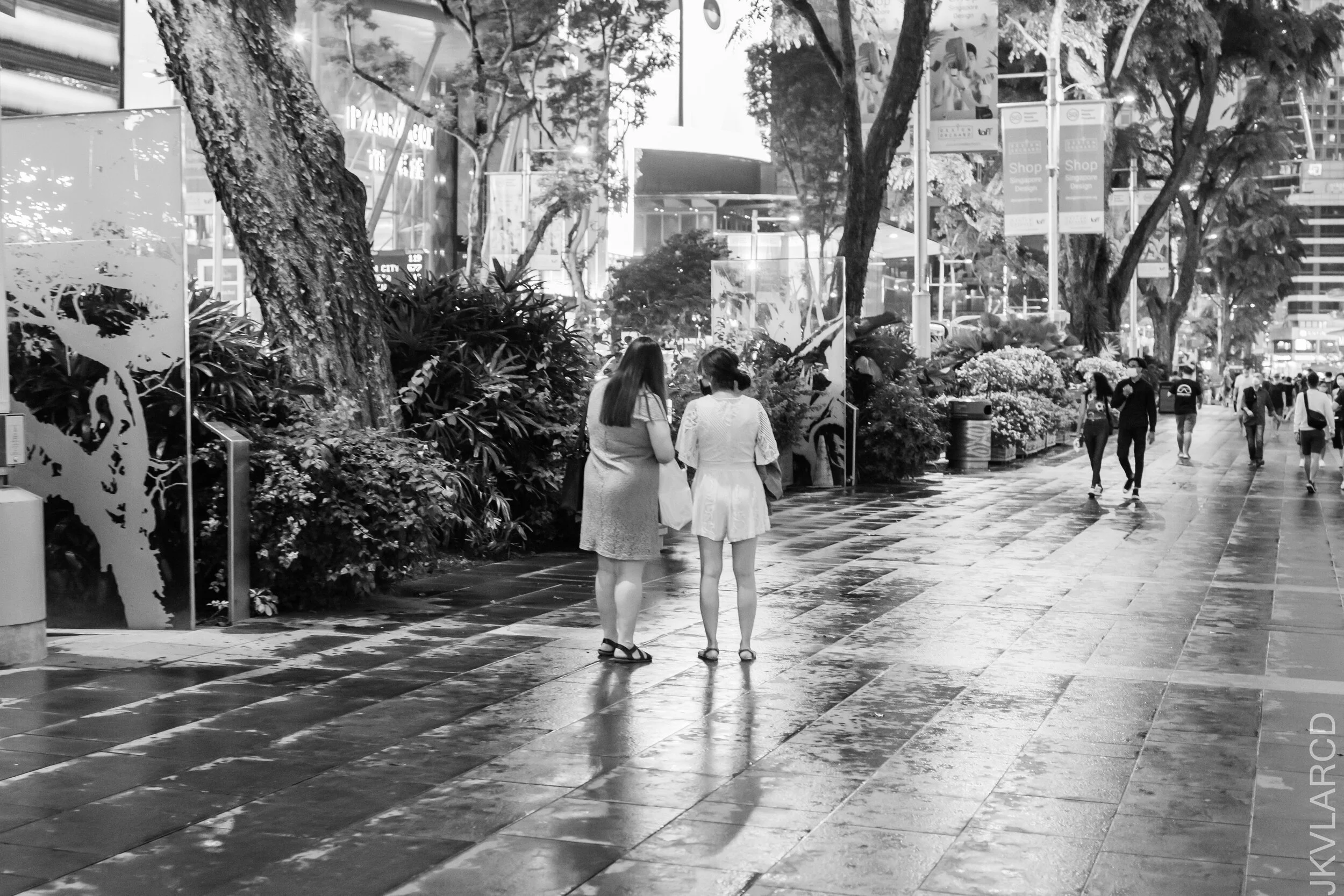 EOS 7D Mark II_2021_05_08_6314.jpg