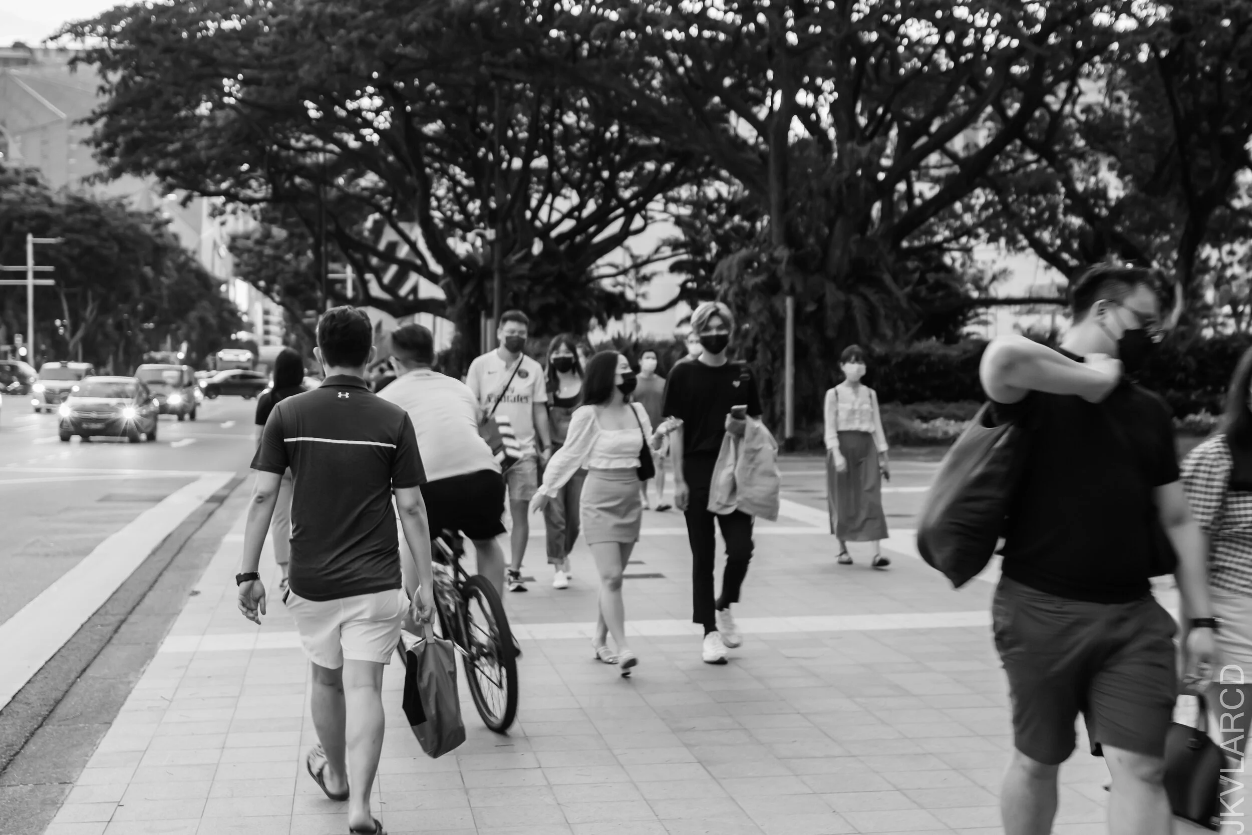 EOS 7D Mark II_2021_06_26_6542.jpg