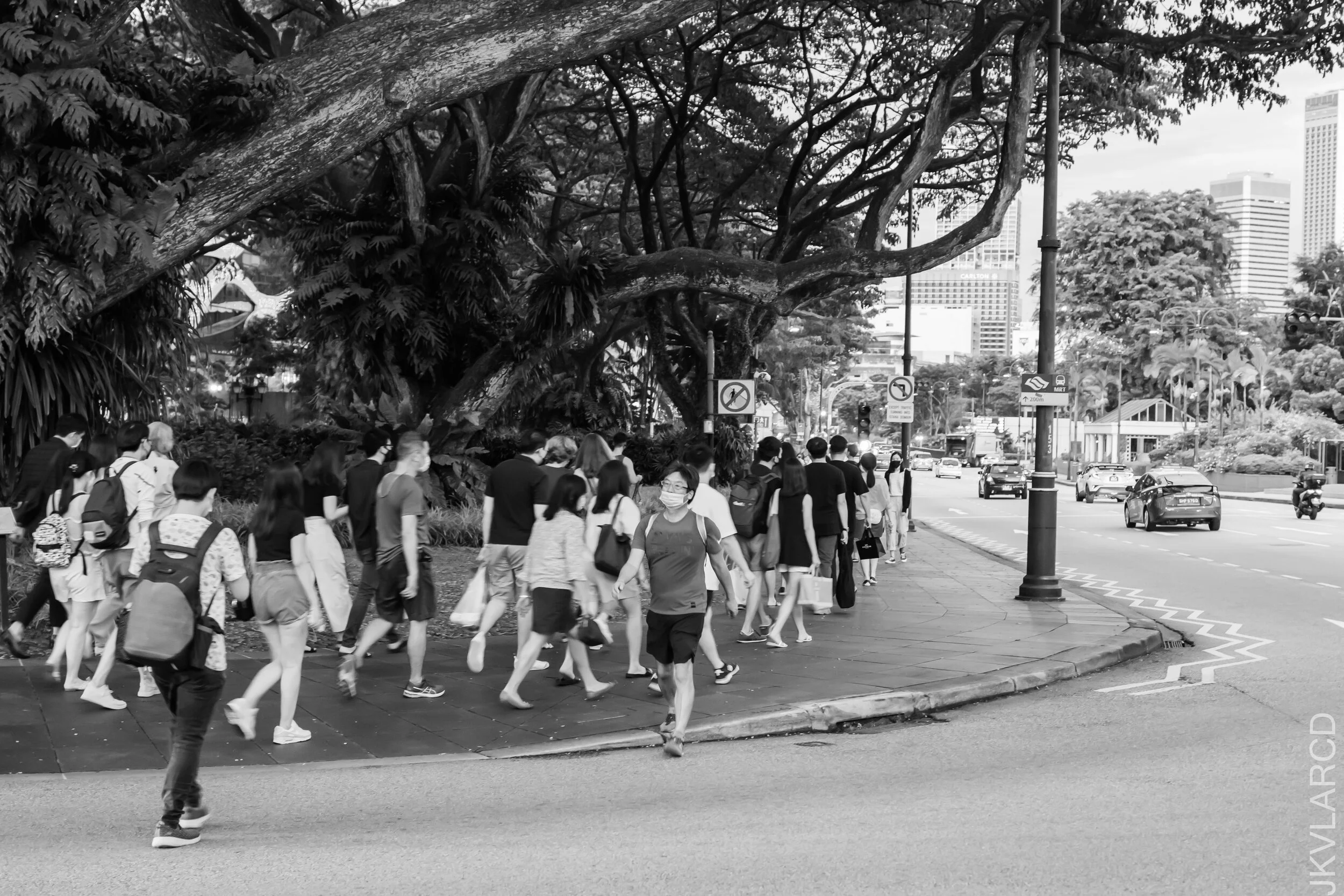 EOS 7D Mark II_2021_06_26_6543.jpg