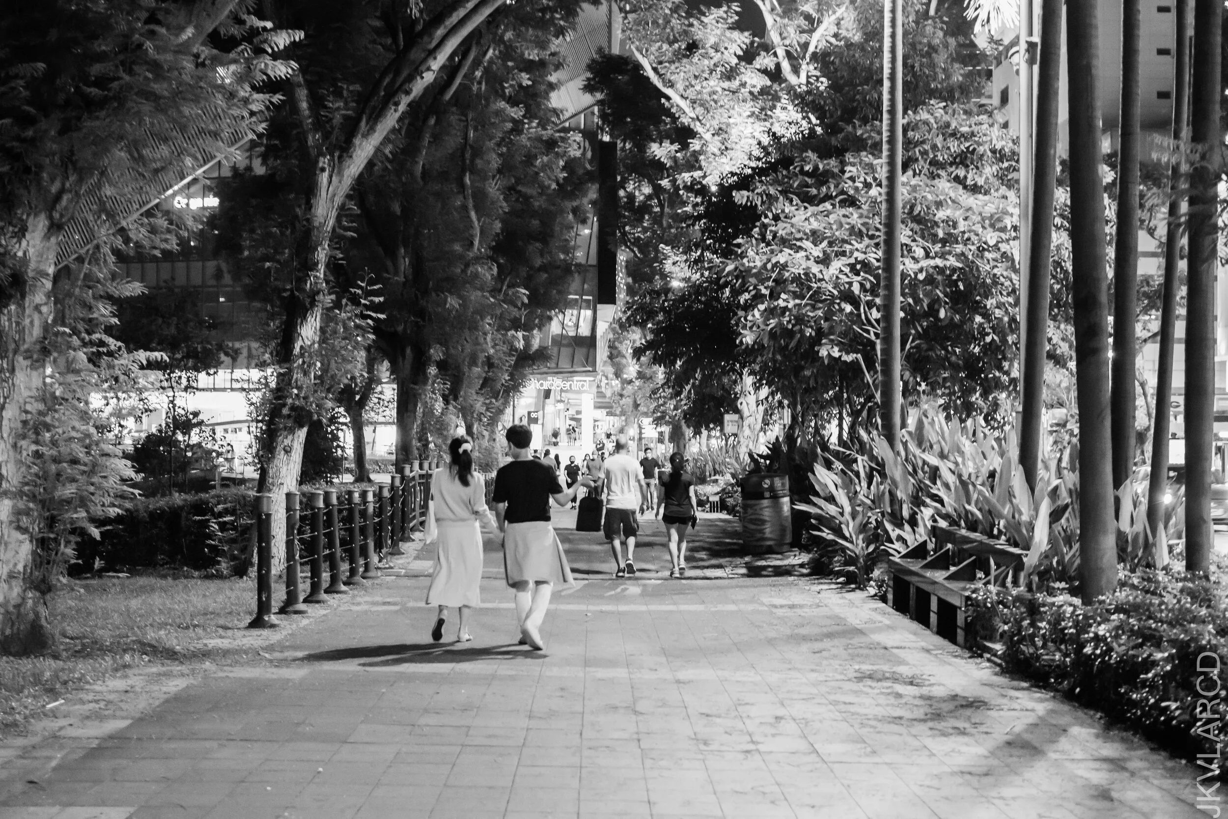 EOS 7D Mark II_2021_06_26_6612.jpg