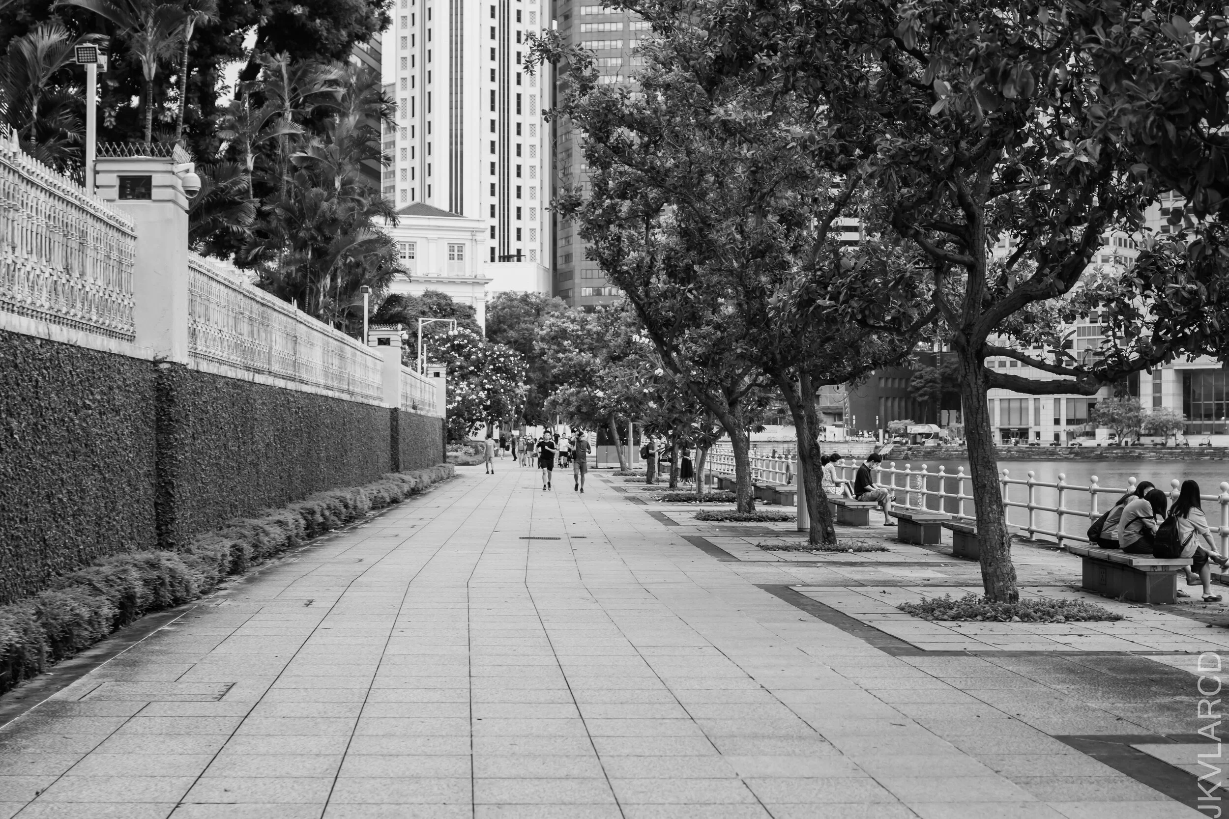 EOS 7D Mark II_2021_07_10_6659.jpg