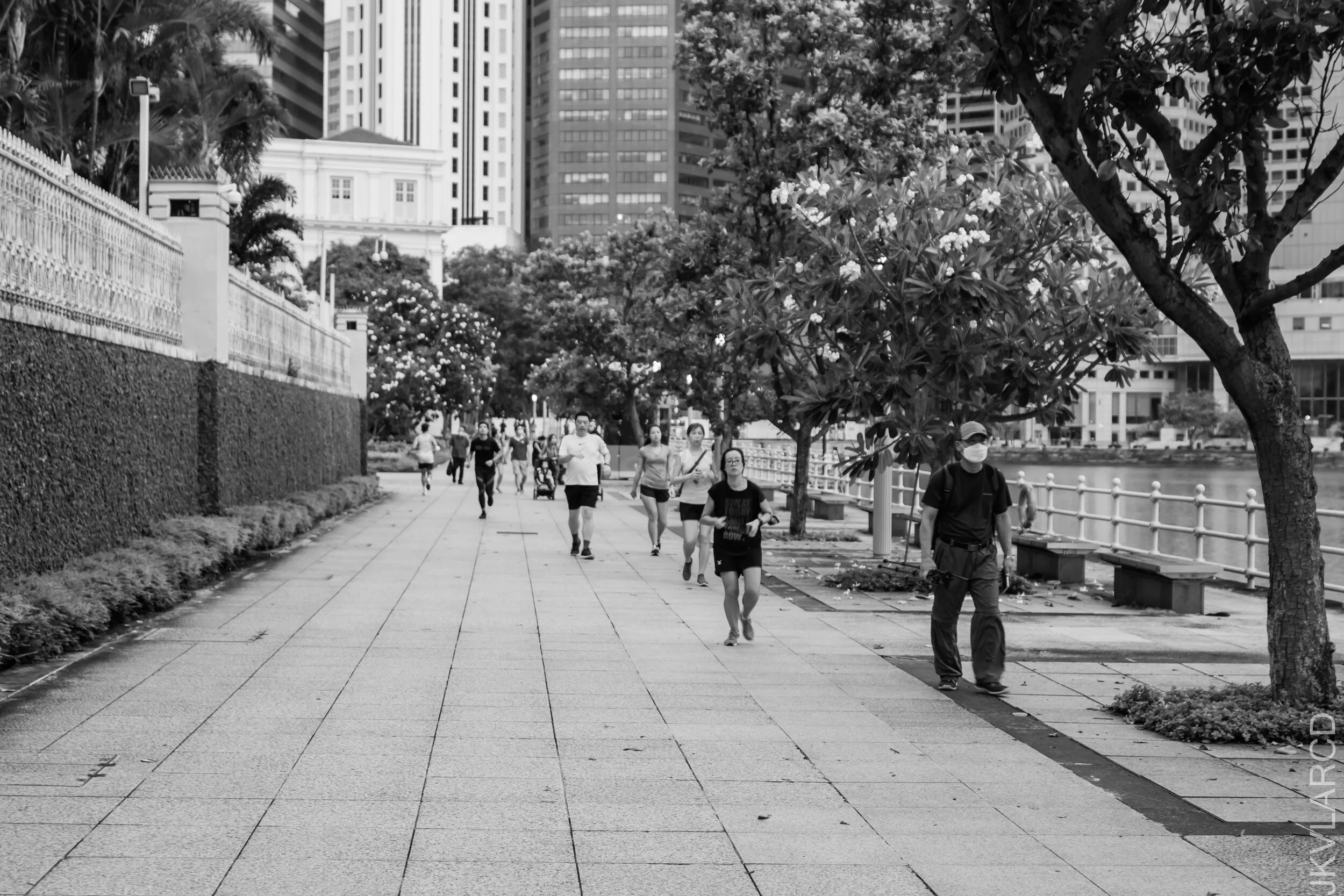 EOS 7D Mark II_2021_07_10_6660.jpg