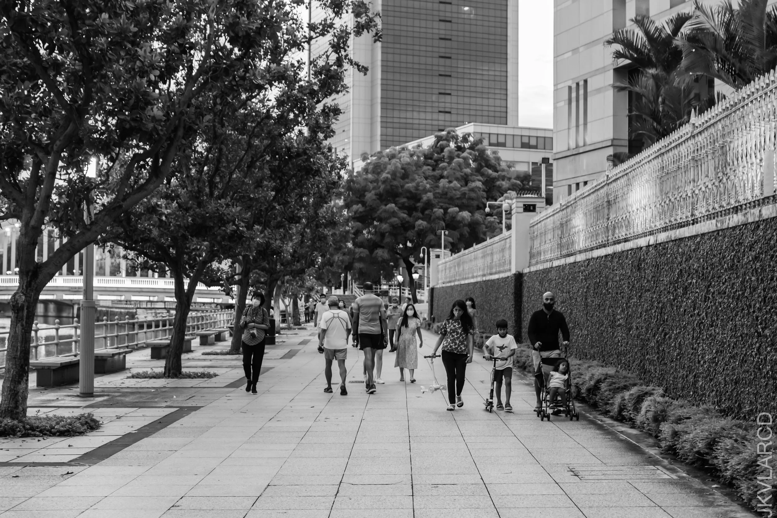 EOS 7D Mark II_2021_07_10_6683.jpg