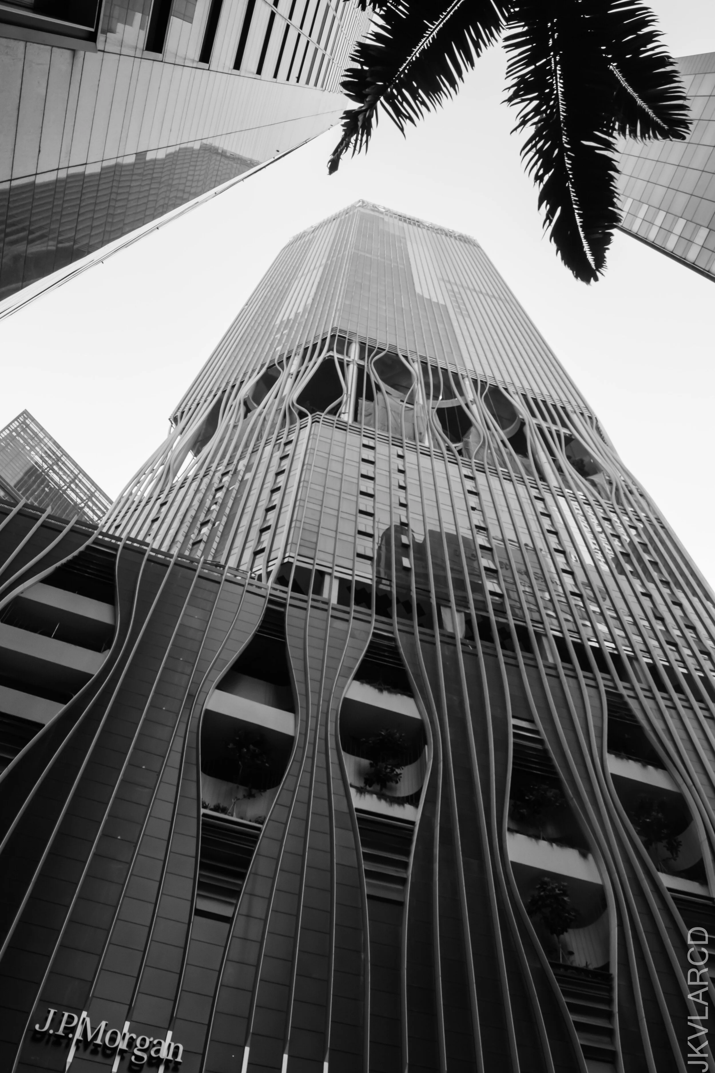 EOS 7D Mark II_2021_07_17_6720.jpg