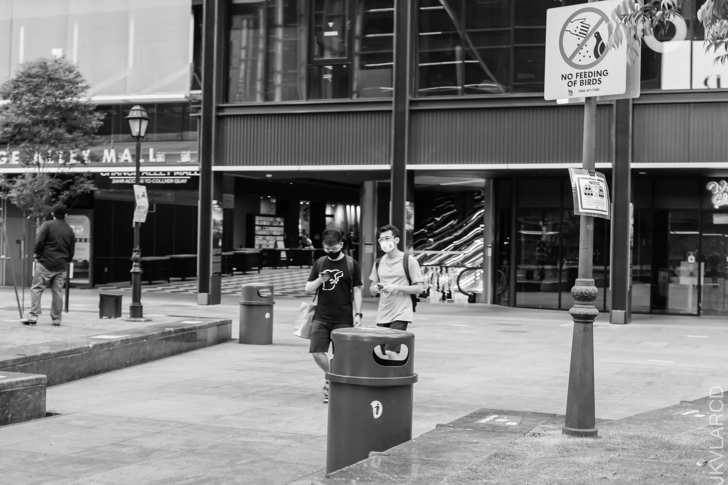 EOS 7D Mark II_2021_07_17_6734.jpg