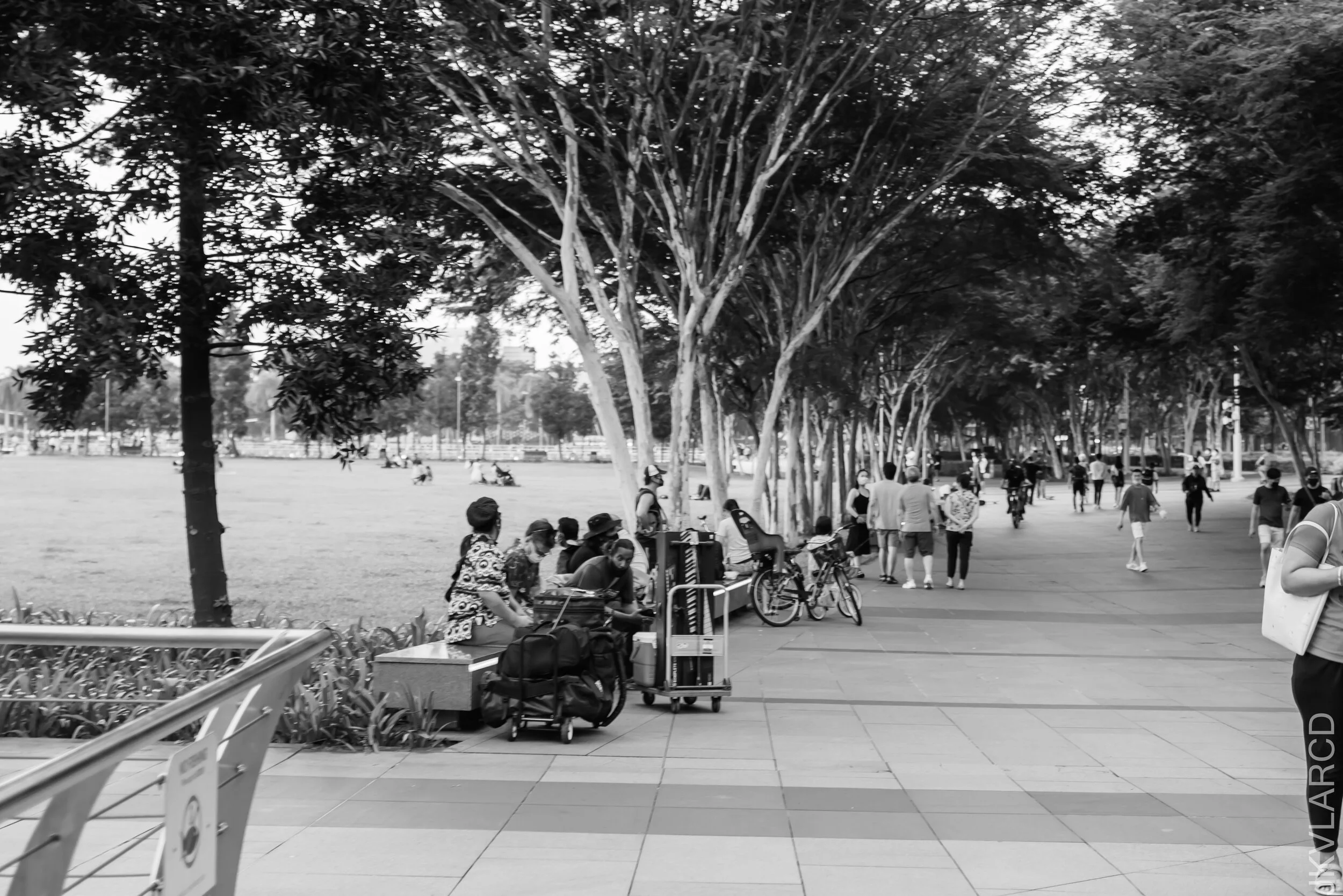 EOS 7D Mark II_2021_07_17_6763.jpg