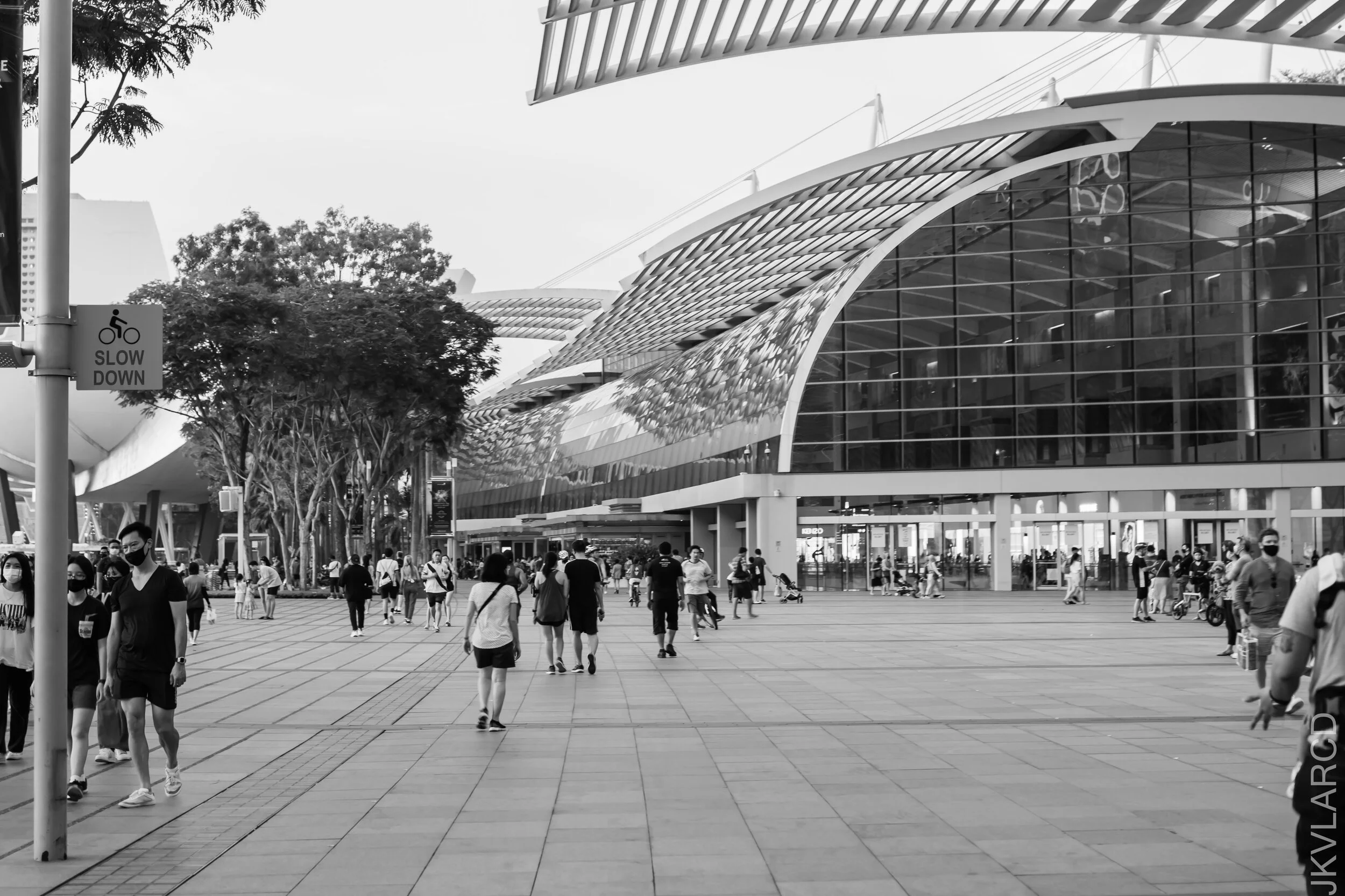 EOS 7D Mark II_2021_07_17_6838.jpg