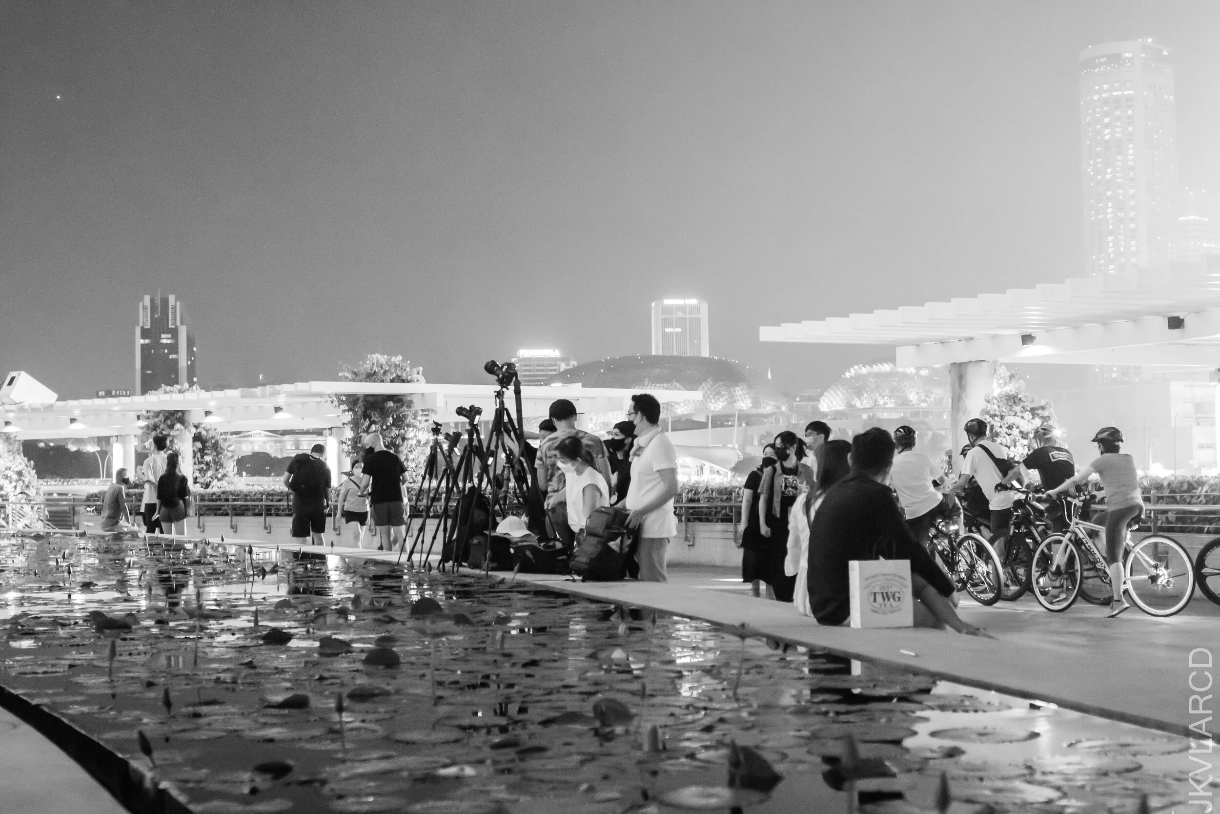 EOS 7D Mark II_2021_07_17_7046.jpg