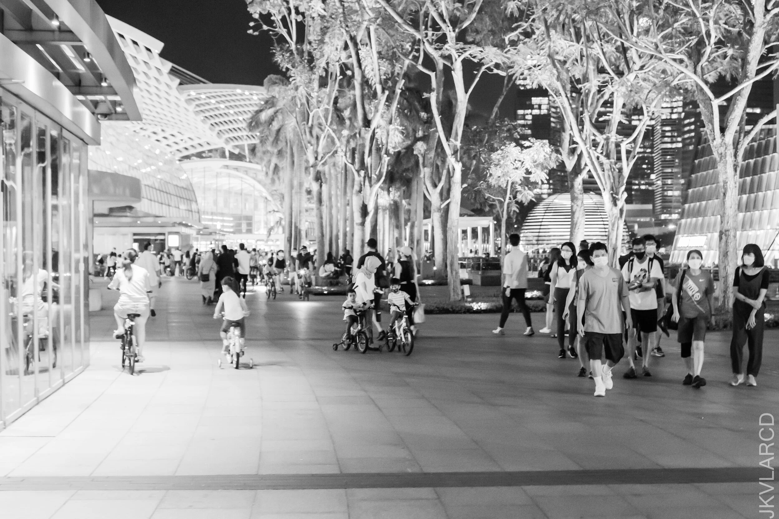 EOS 7D Mark II_2021_07_17_7053.jpg