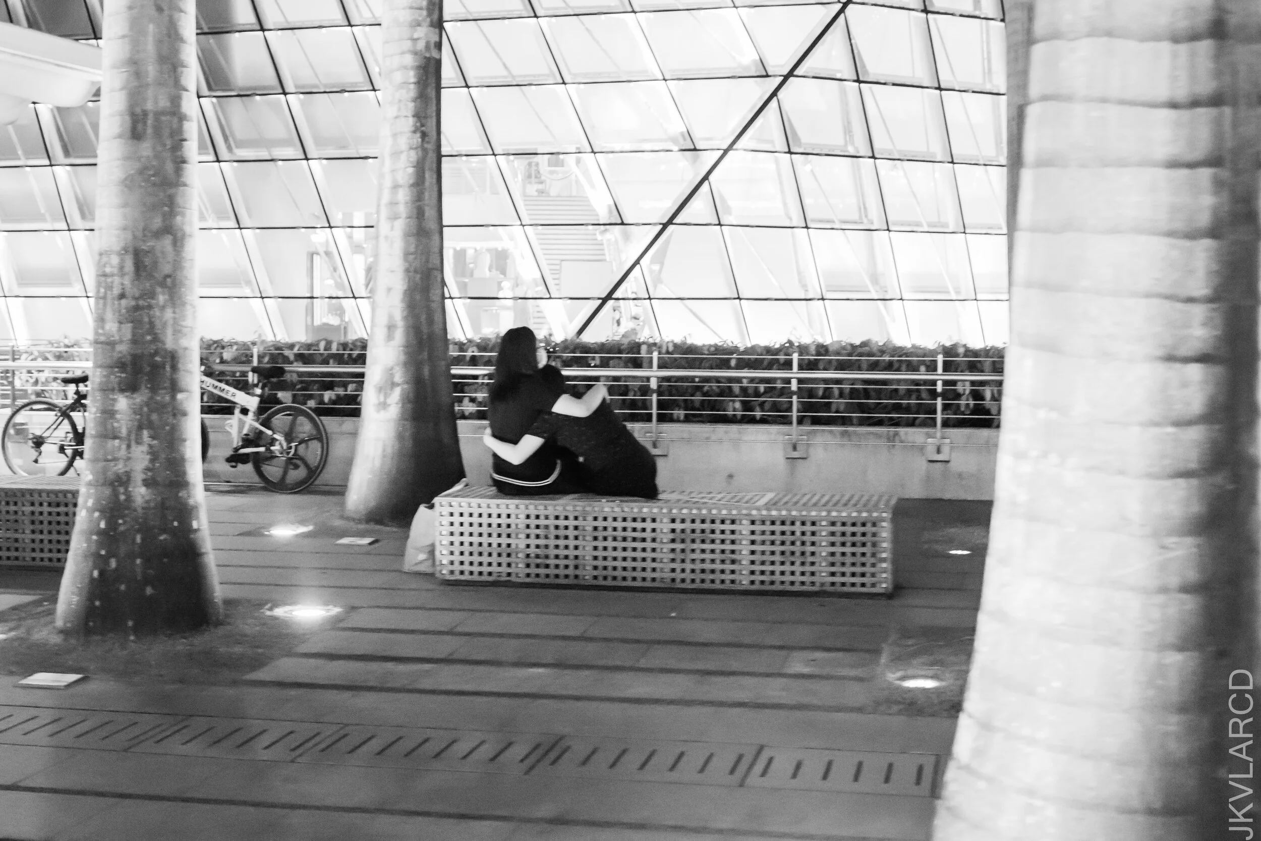 EOS 7D Mark II_2021_07_17_7055.jpg