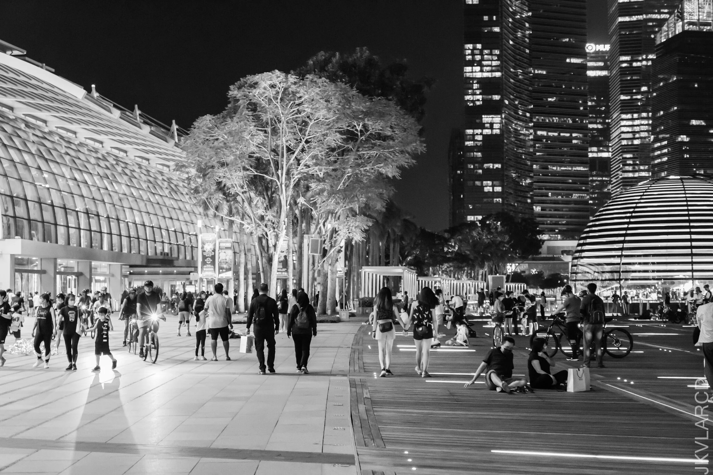 EOS 7D Mark II_2021_07_17_7059.jpg