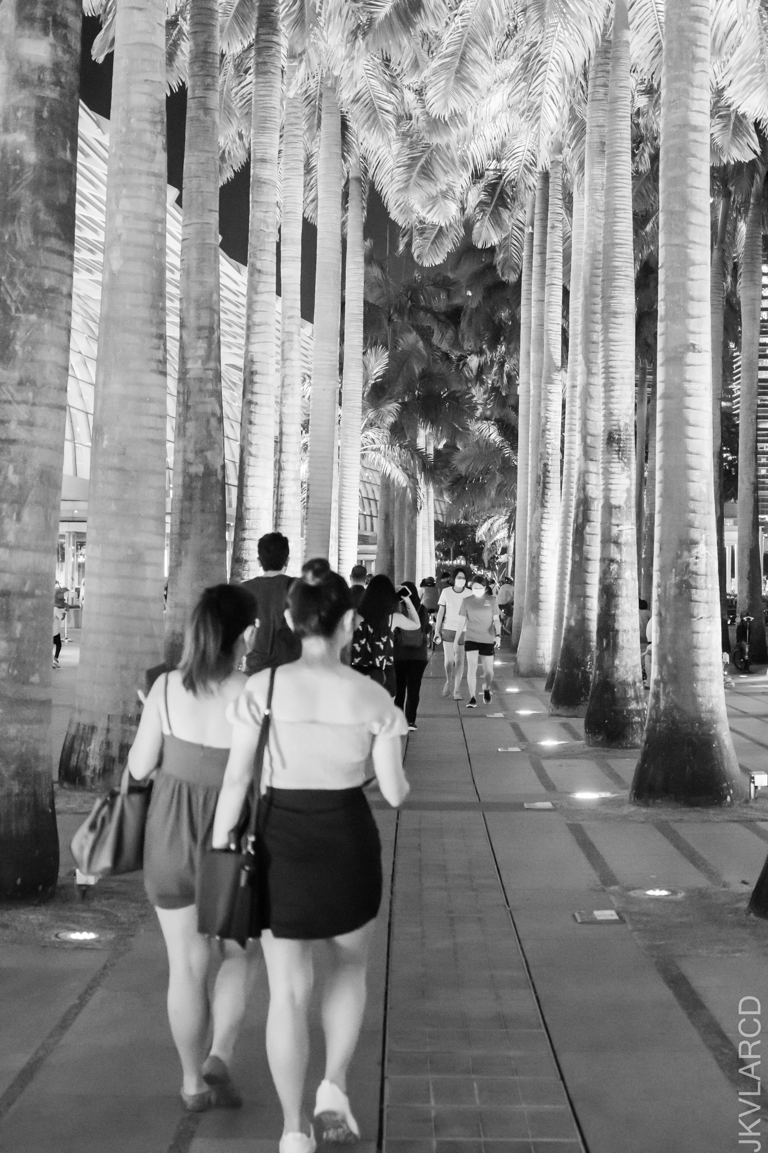 EOS 7D Mark II_2021_07_17_7063.jpg