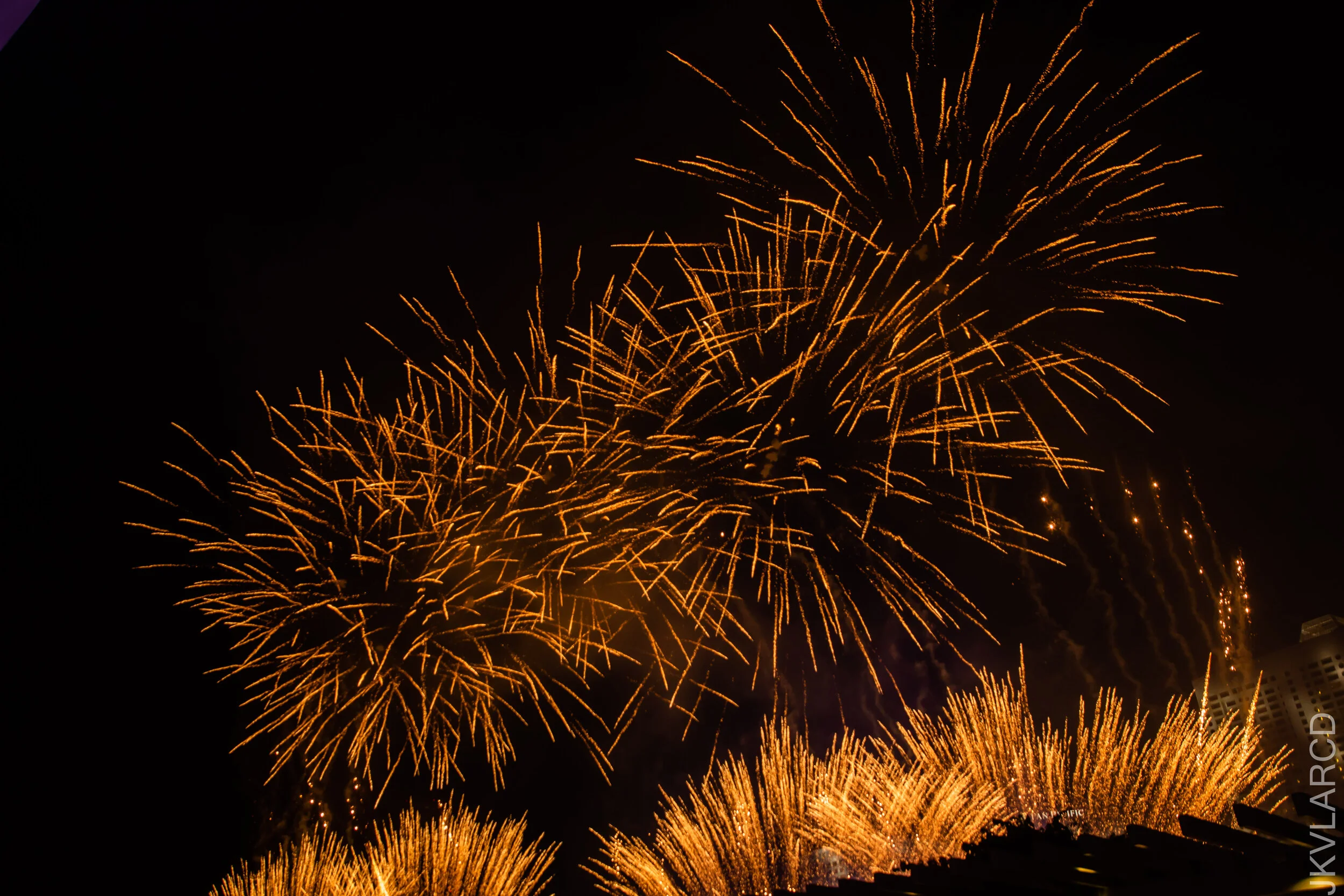 EOS 7D Mark II_2021_07_17_7043.jpg