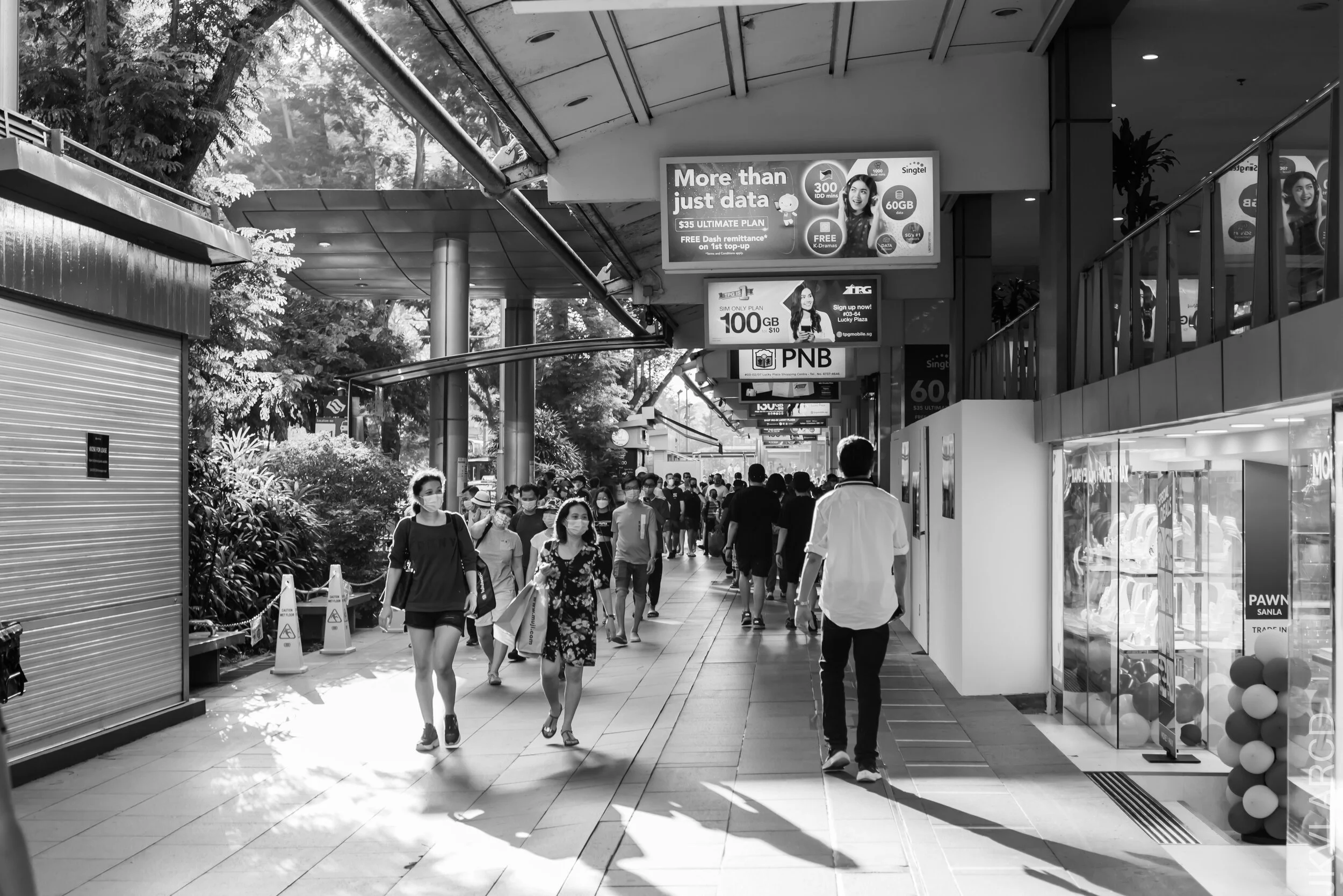 EOS 7D Mark II_2021_08_28_7090.jpg