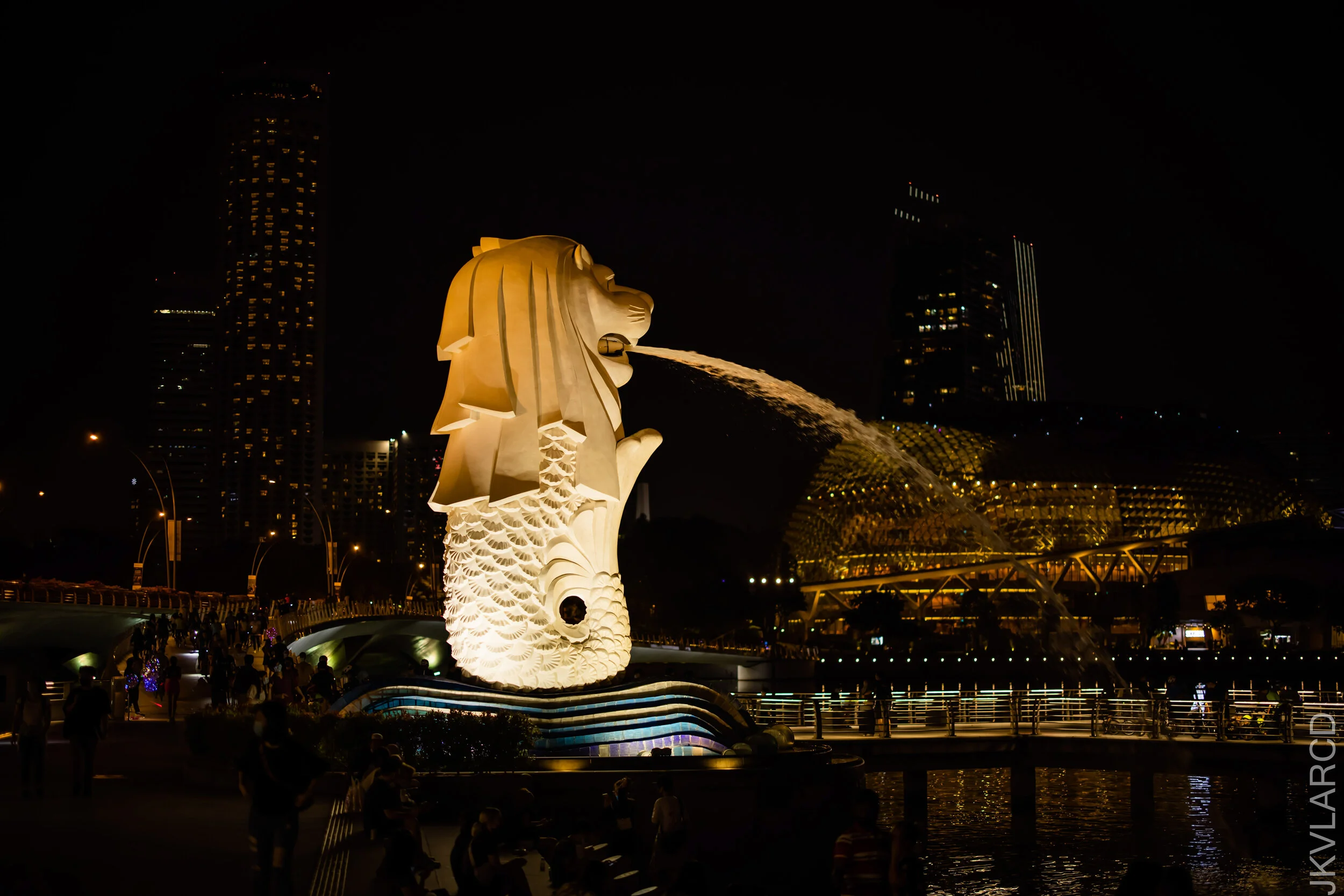 EOS R5_2021_10_02_7701.jpg