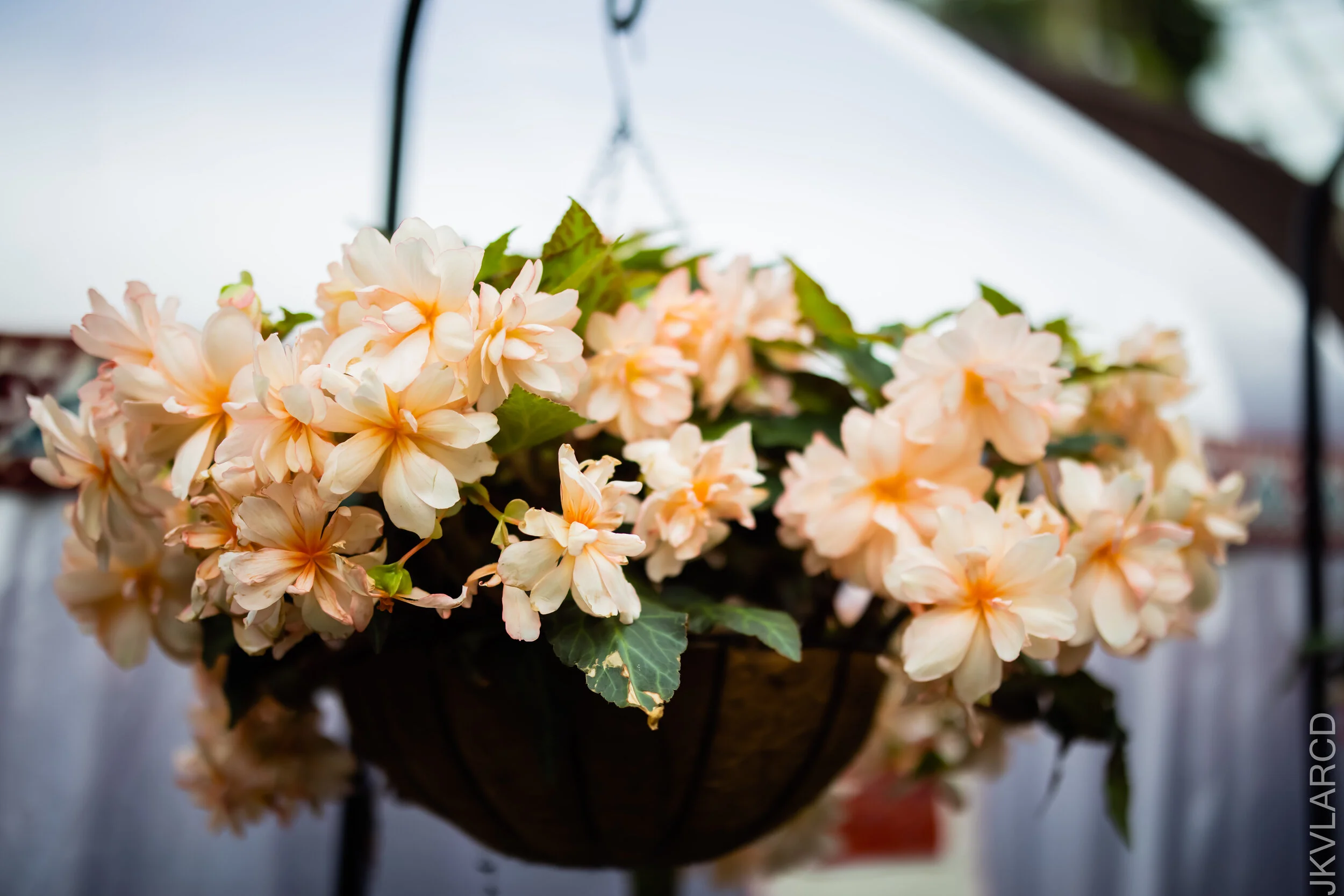 EOS R5_2021_10_16_8263.jpg