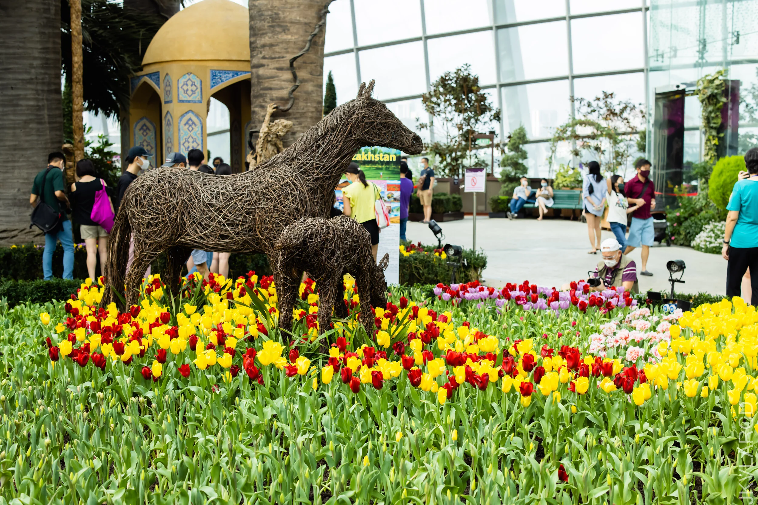 EOS R5_2021_10_16_8299.jpg