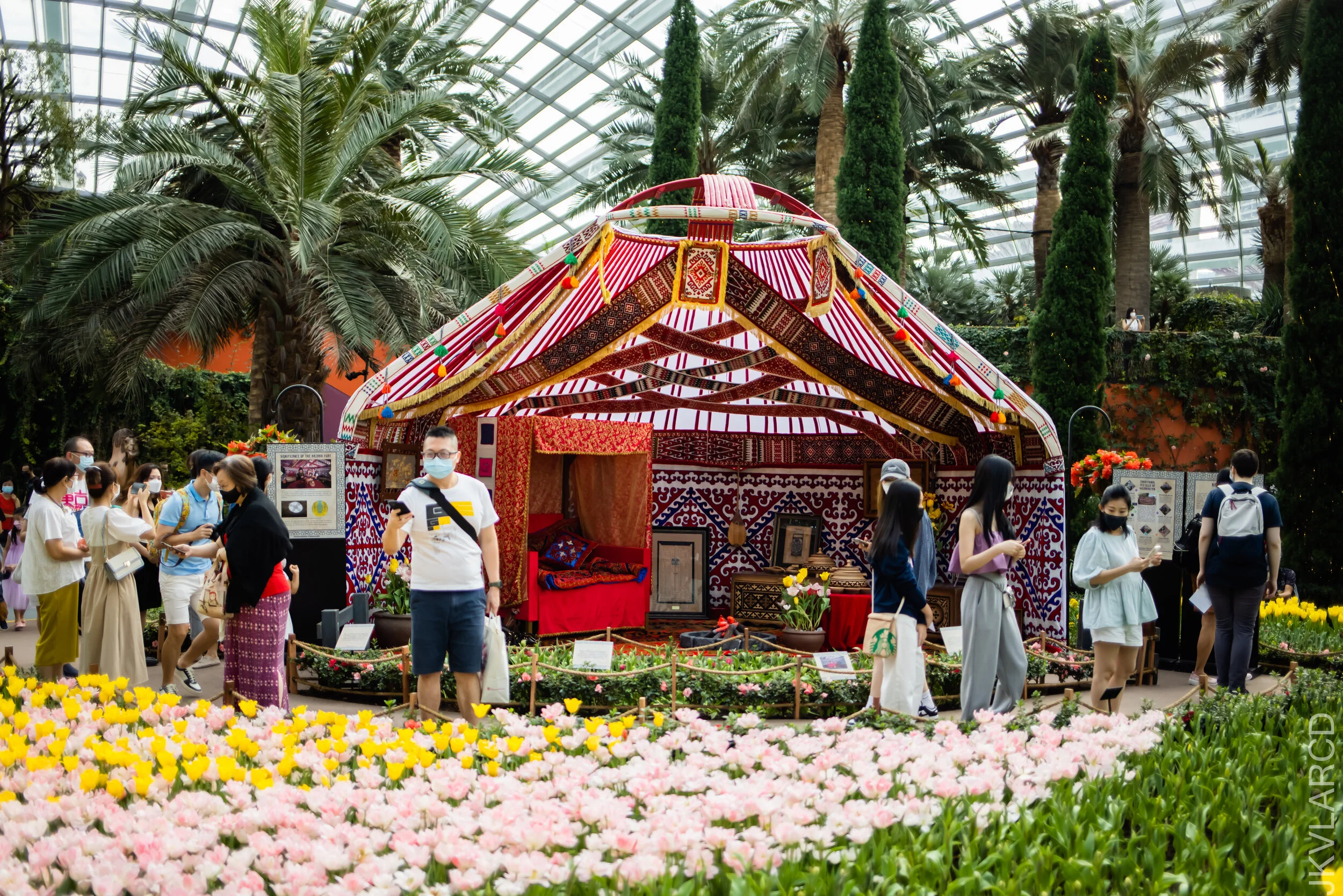 EOS R5_2021_10_16_8309.jpg