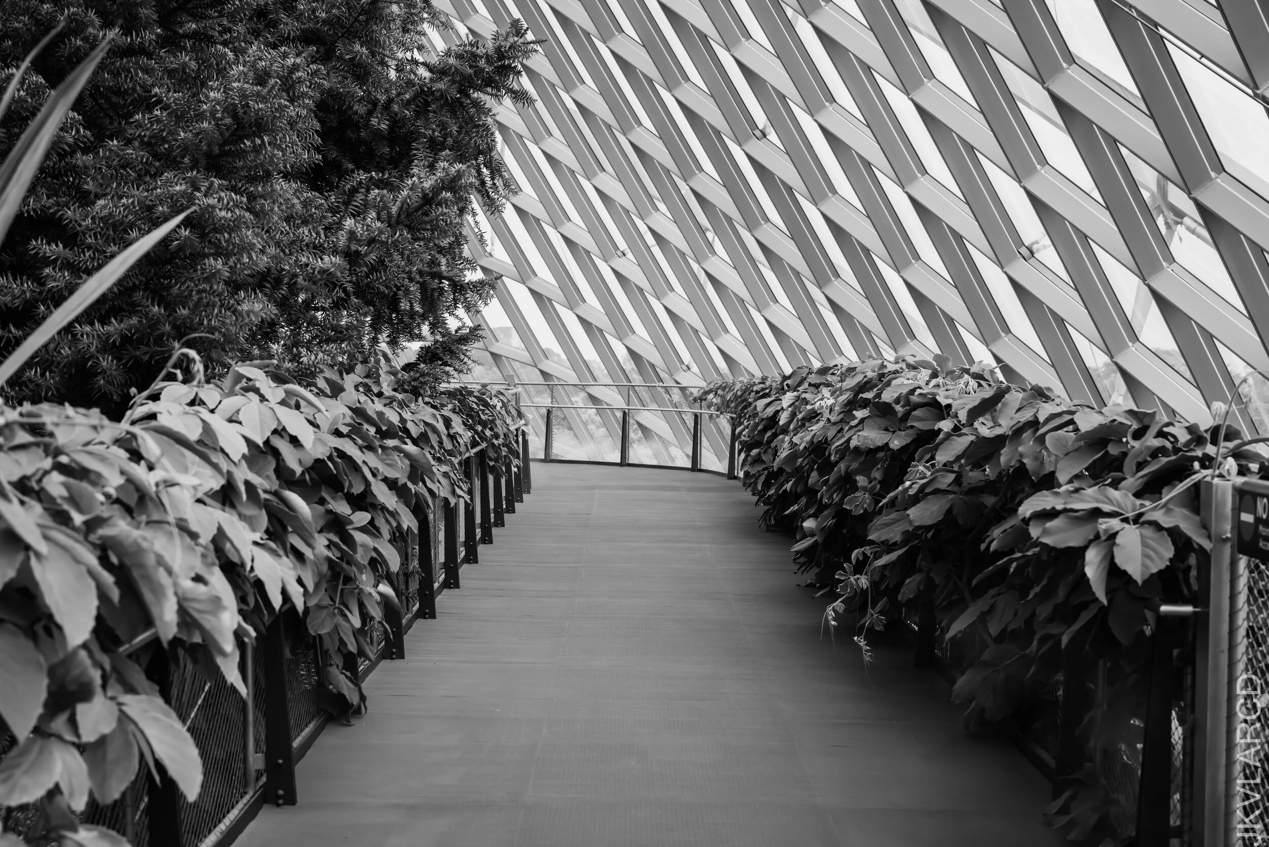 EOS R5_2021_10_16_8074.jpg