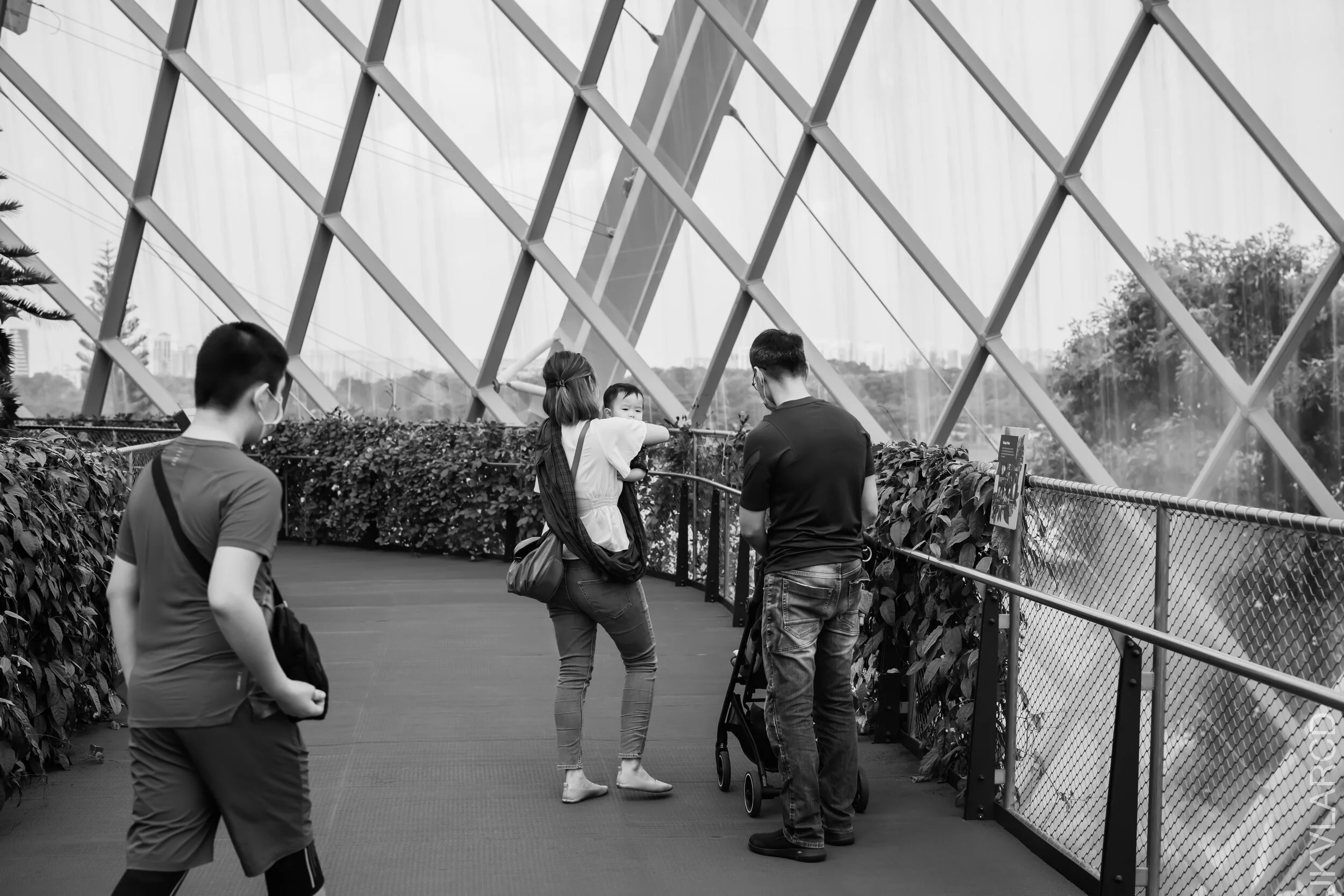 EOS R5_2021_10_16_8076.jpg