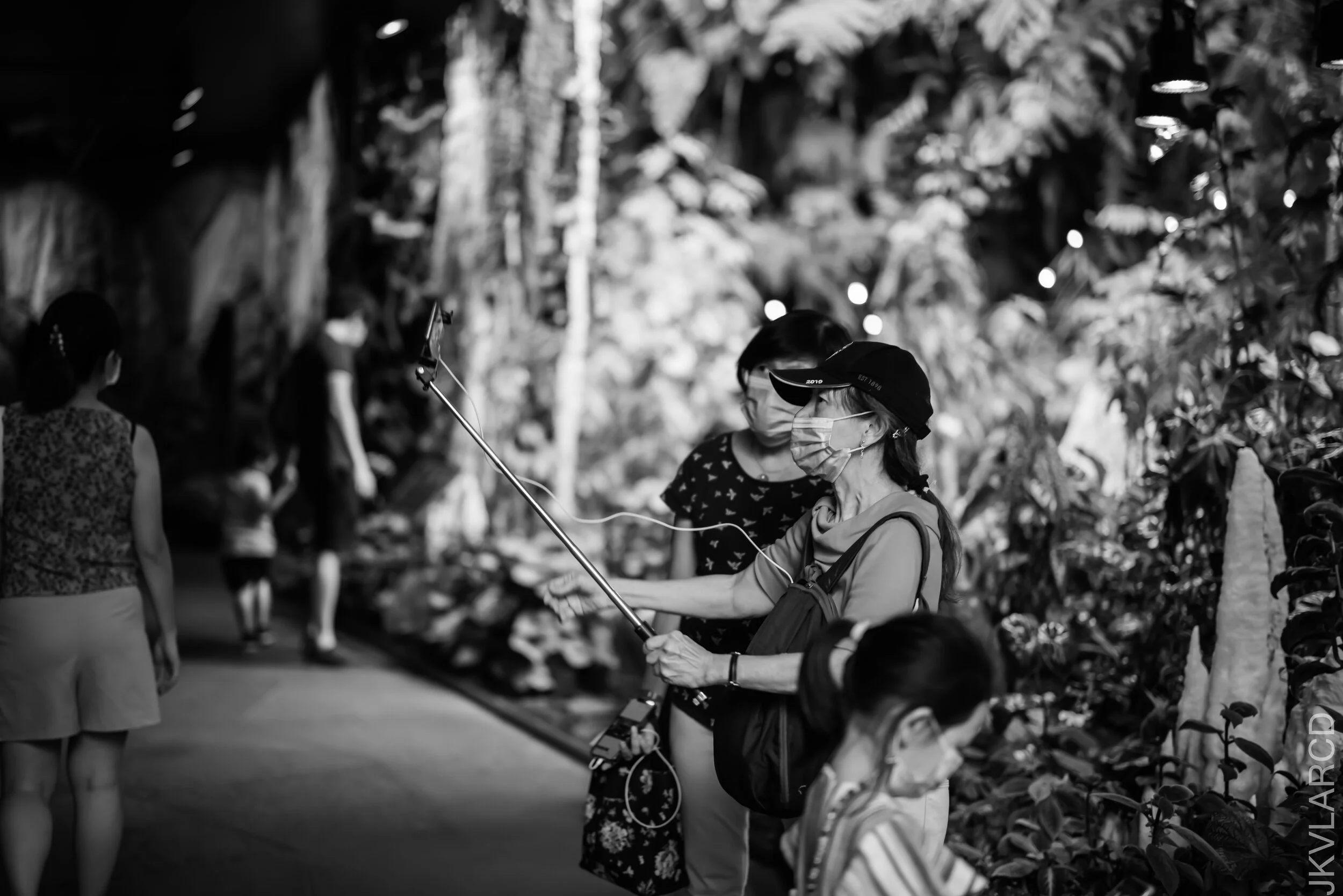 EOS R5_2021_10_16_8101.jpg