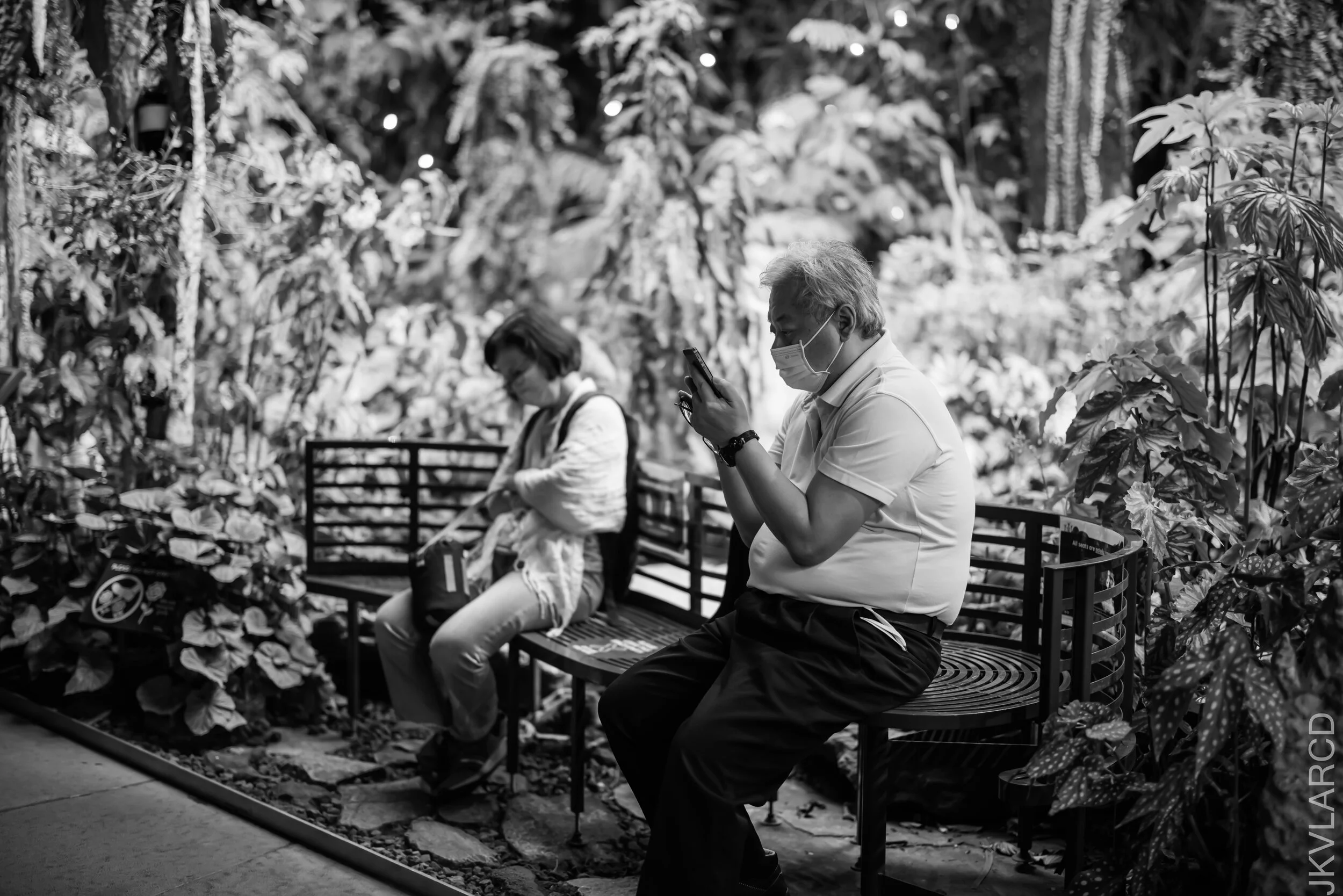 EOS R5_2021_10_16_8102.jpg