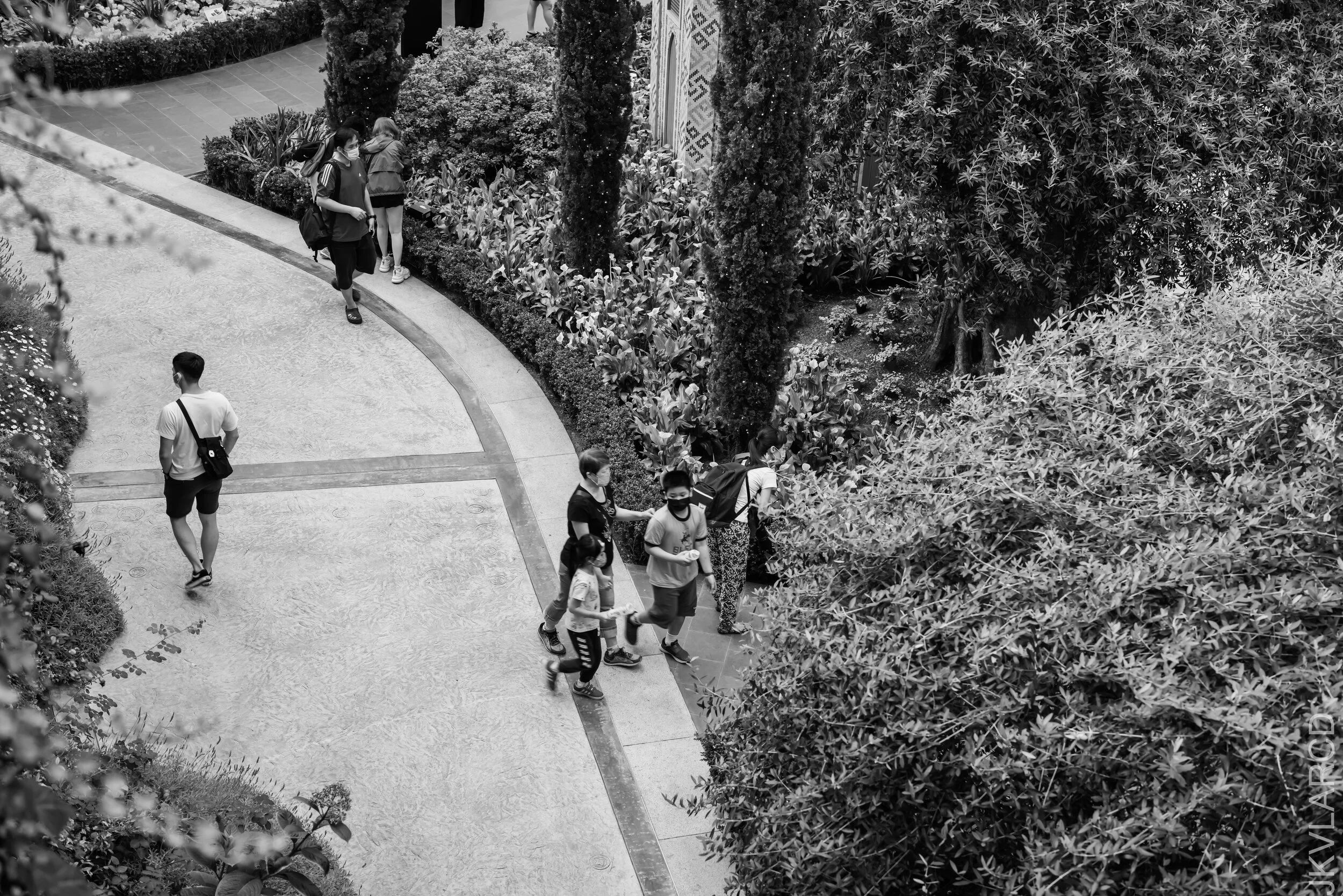 EOS R5_2021_10_16_8118.jpg