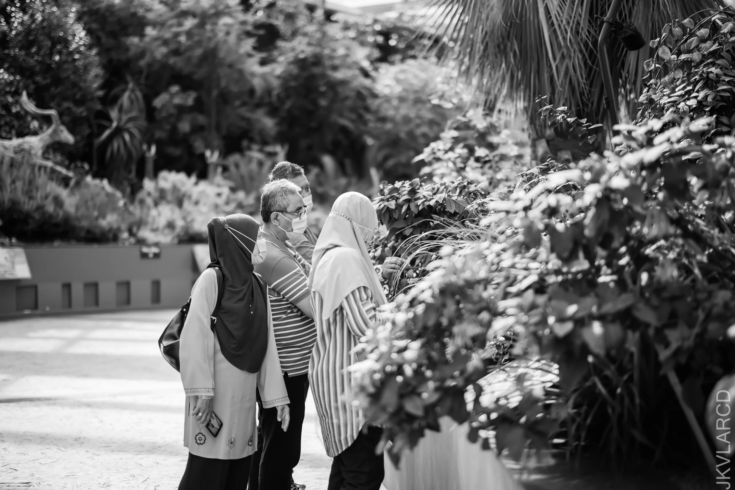 EOS R5_2021_10_16_8126.jpg