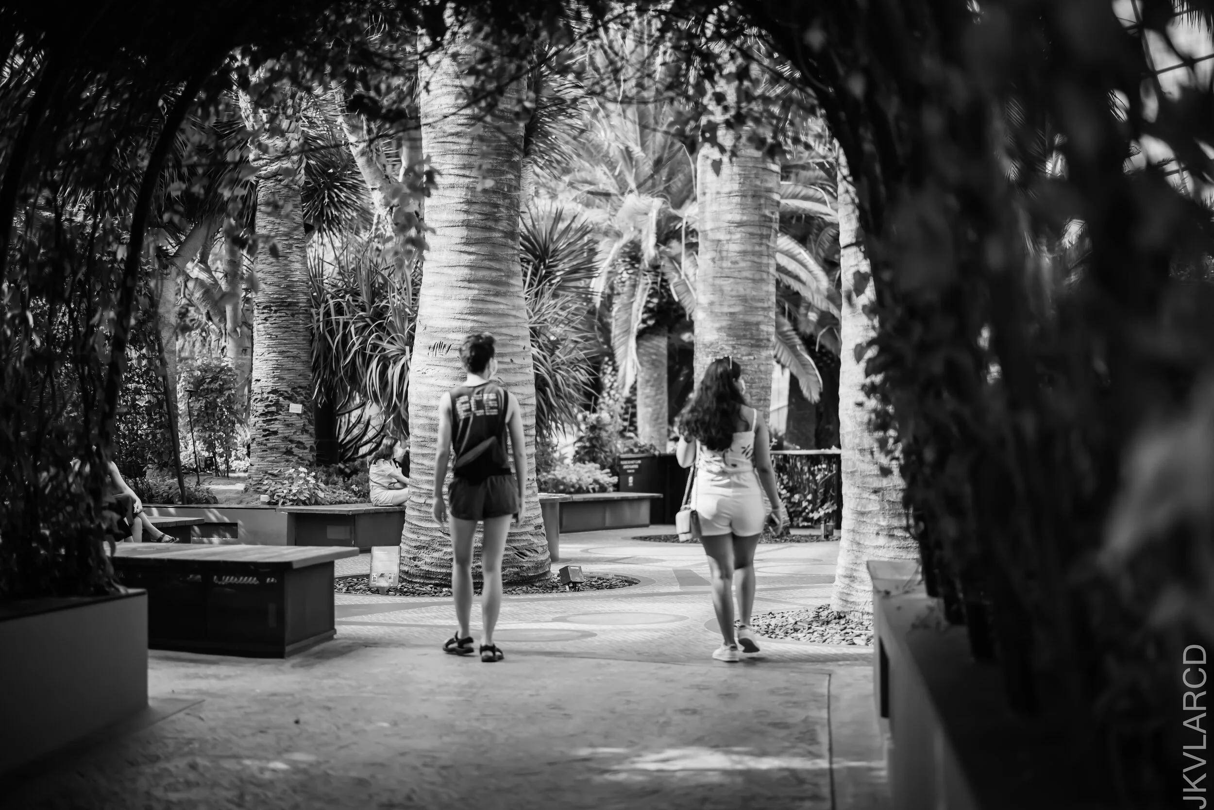 EOS R5_2021_10_16_8131.jpg