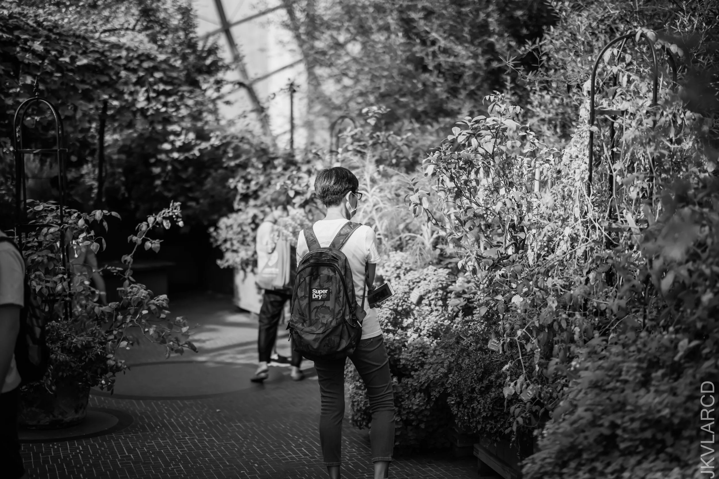 EOS R5_2021_10_16_8149.jpg