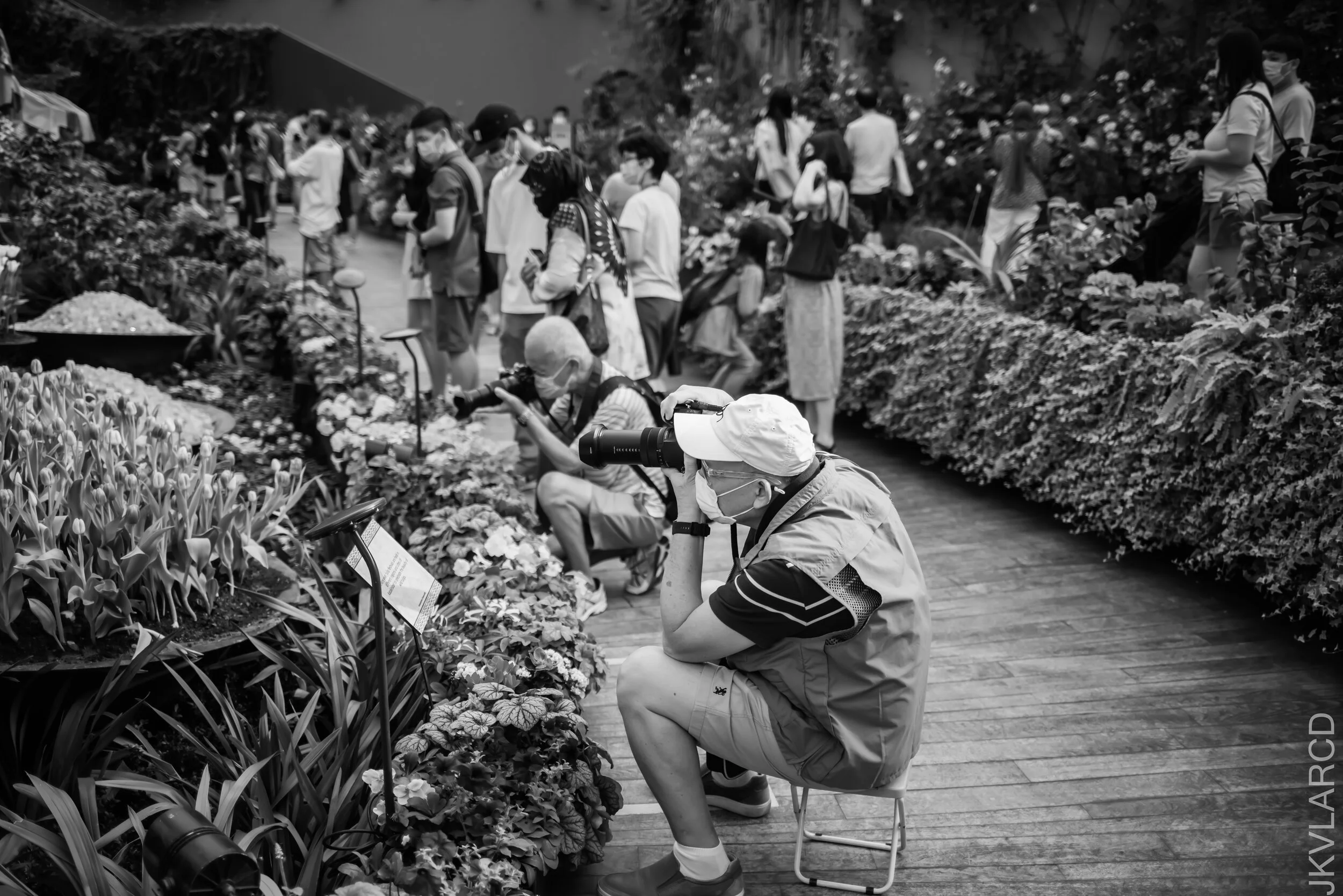 EOS R5_2021_10_16_8246.jpg