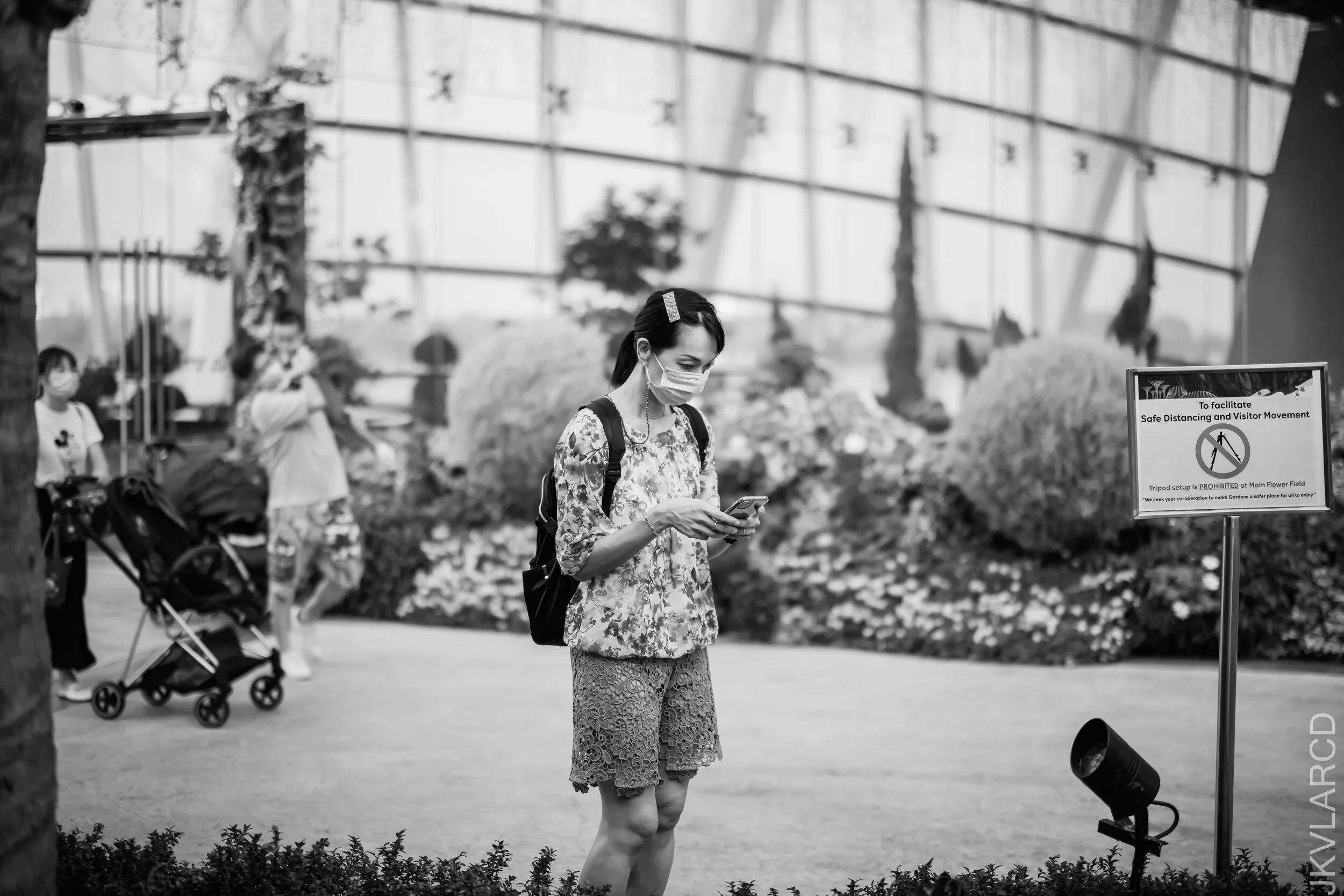 EOS R5_2021_10_16_8275.jpg
