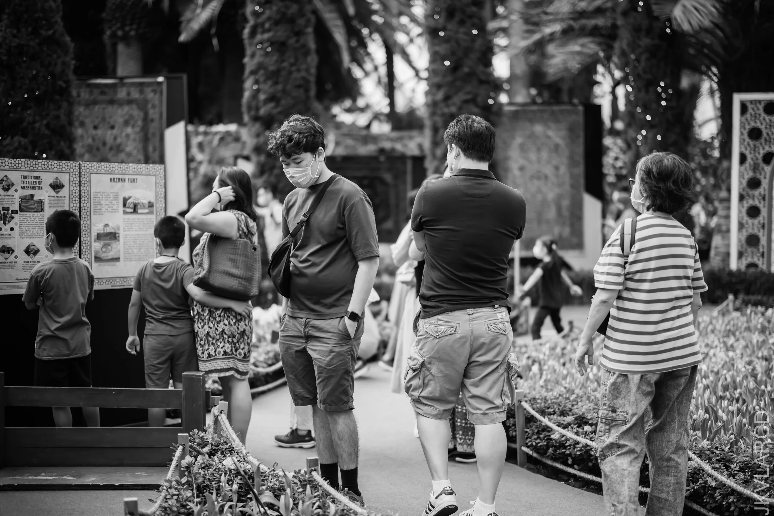 EOS R5_2021_10_16_8298.jpg
