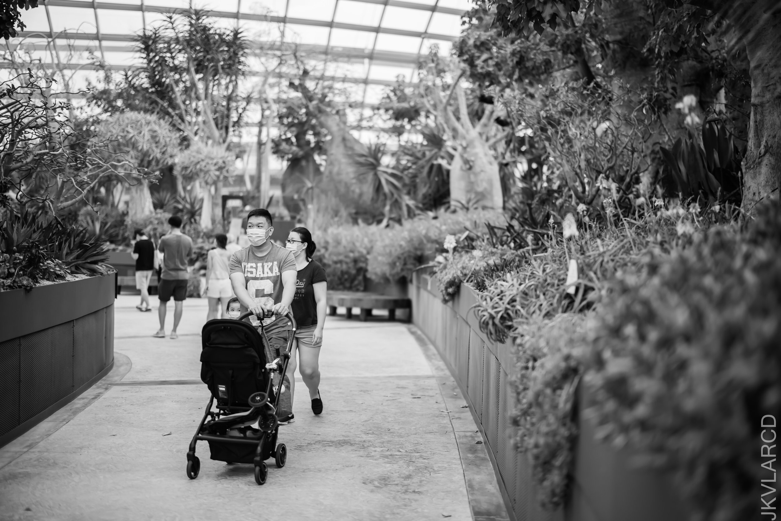 EOS R5_2021_10_16_8348.jpg