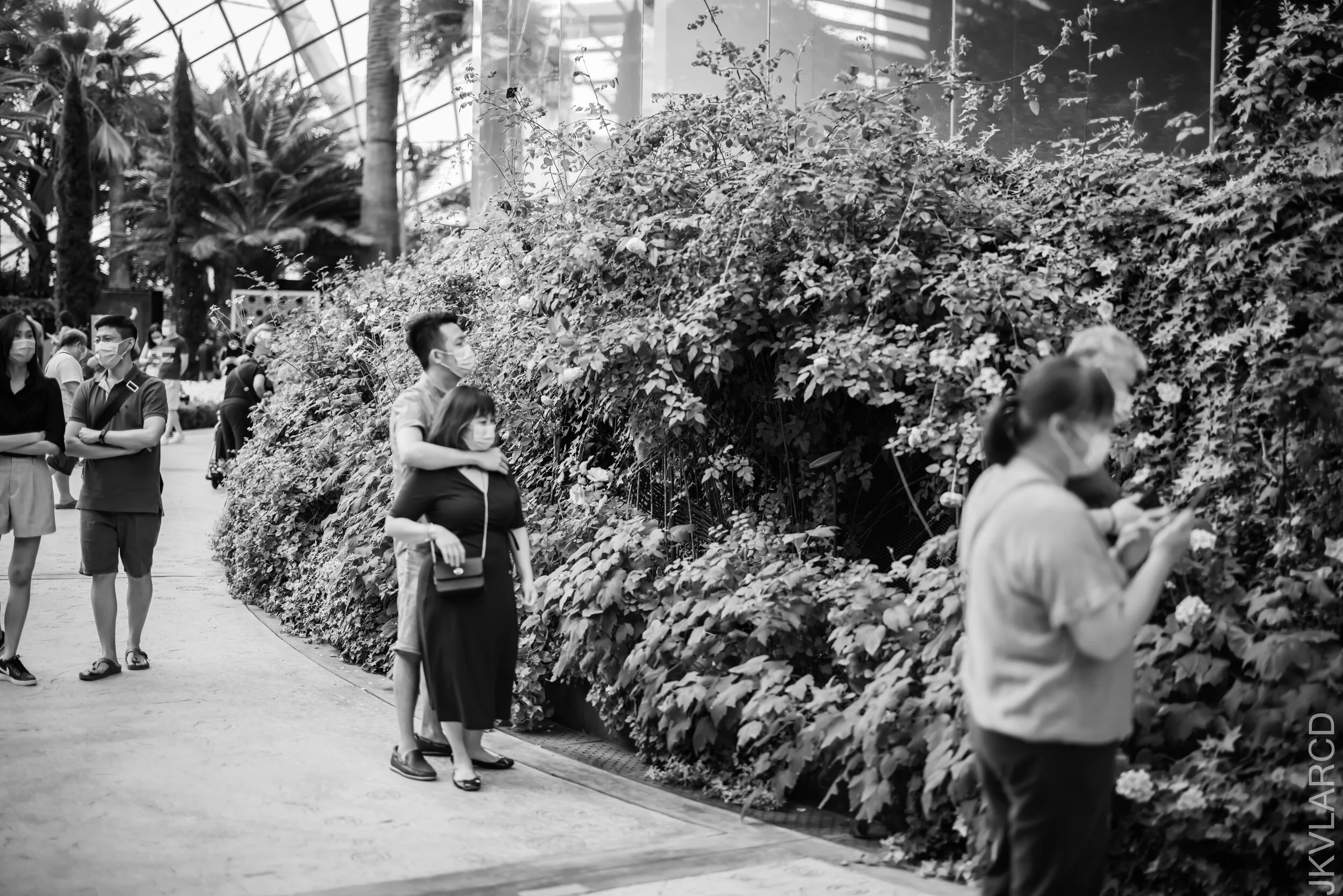 EOS R5_2021_10_16_8385.jpg