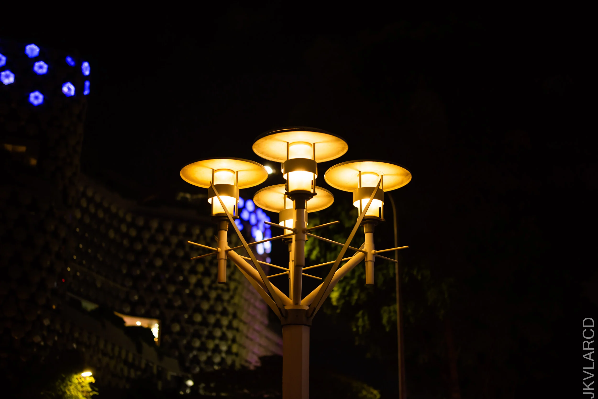 EOS R5_2021_10_16_8466.jpg