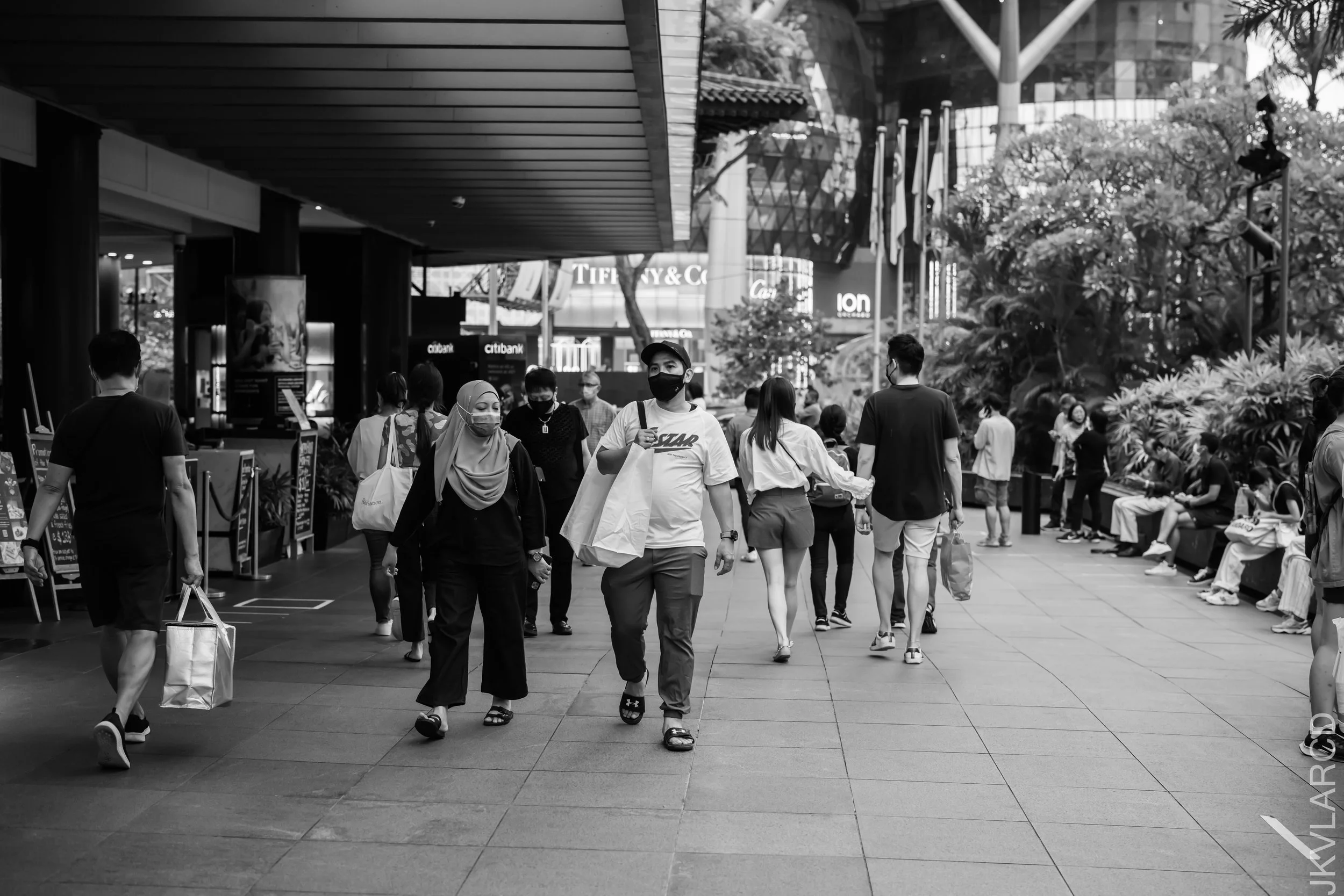 EOS R5_2021_10_23_8561.jpg