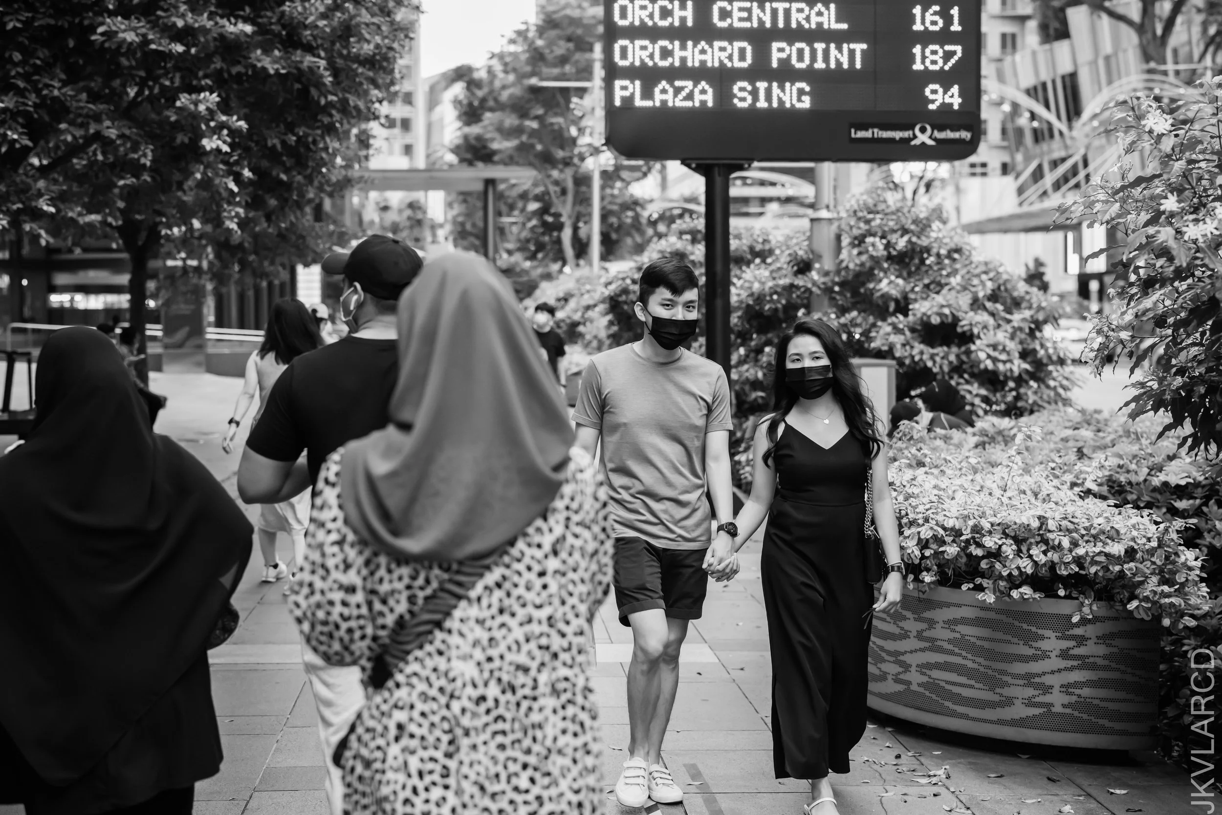 EOS R5_2021_10_23_8596.jpg