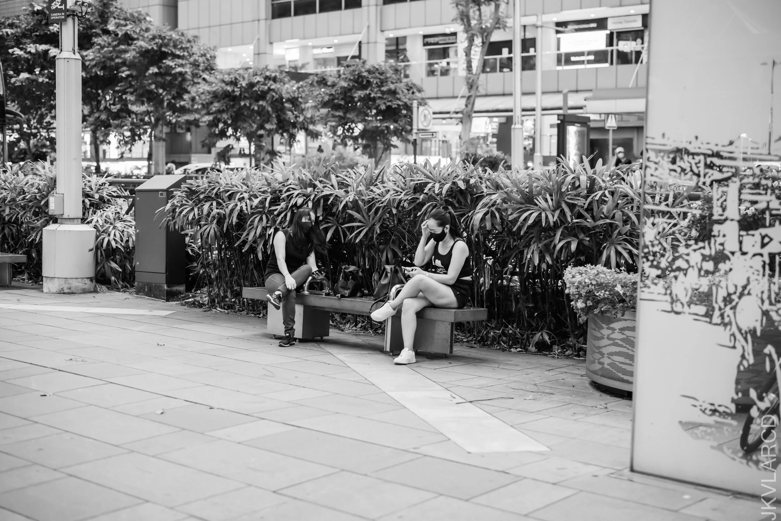 EOS R5_2021_10_23_8642.jpg