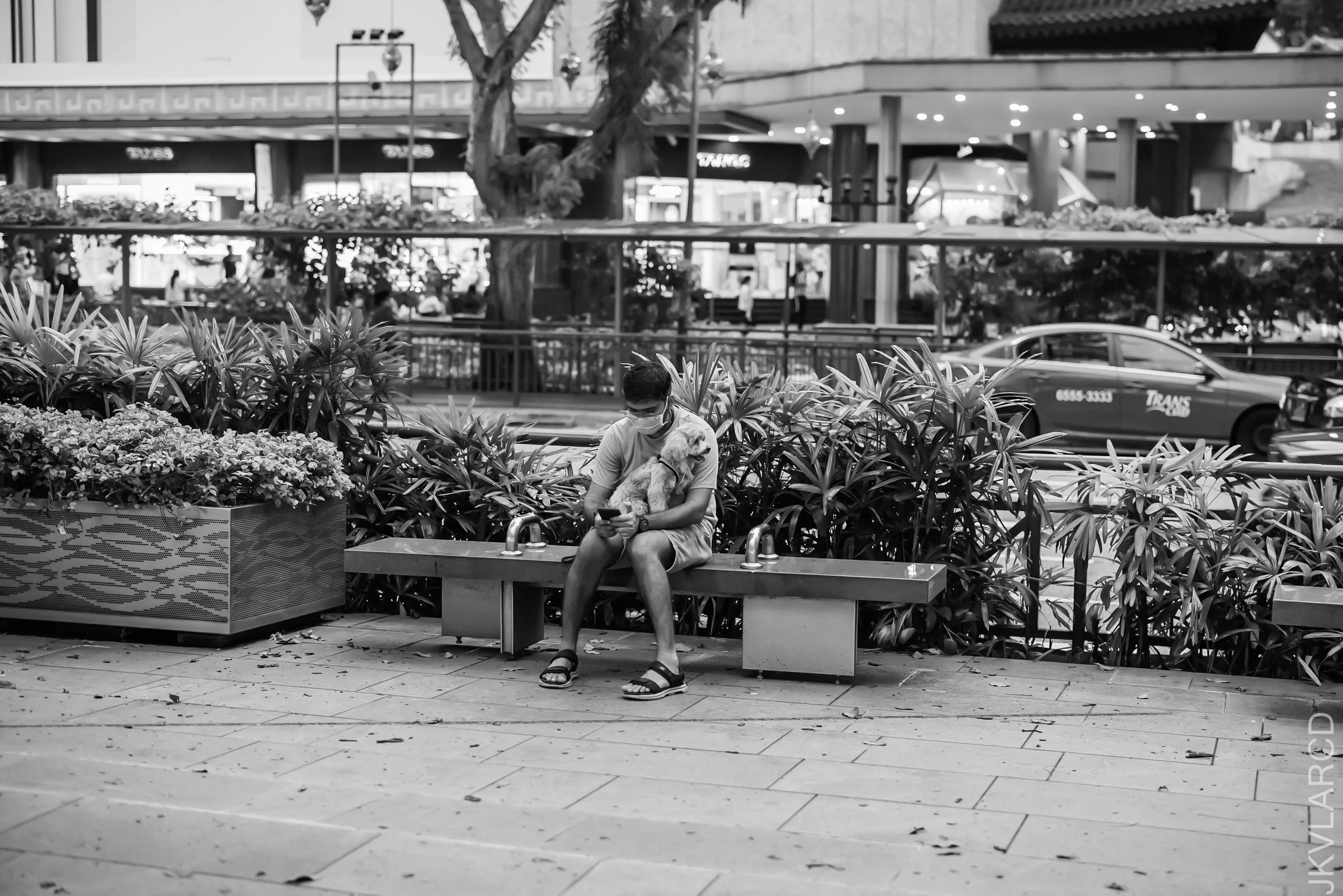 EOS R5_2021_10_23_8649.jpg