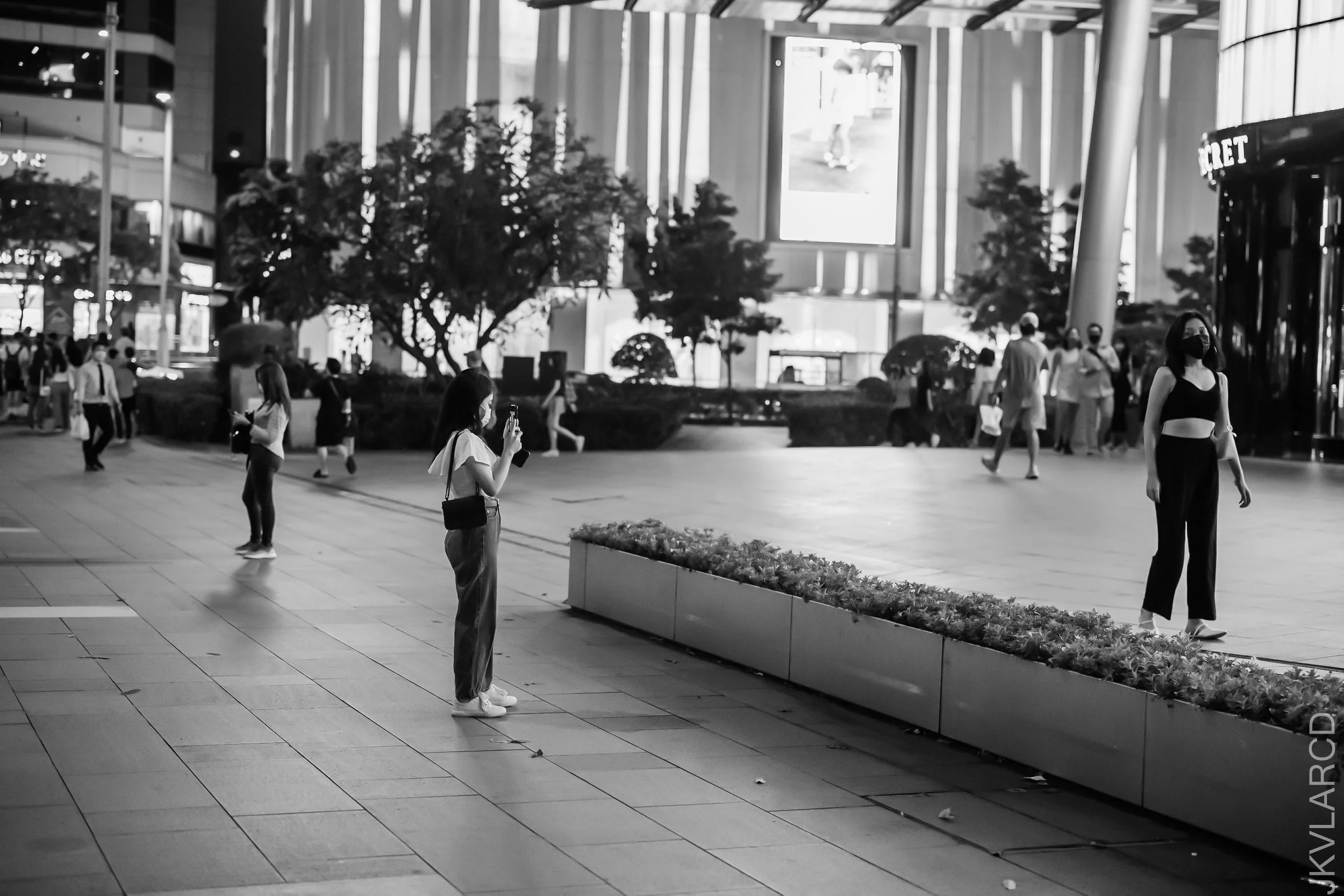 EOS R5_2021_10_23_8797.jpg