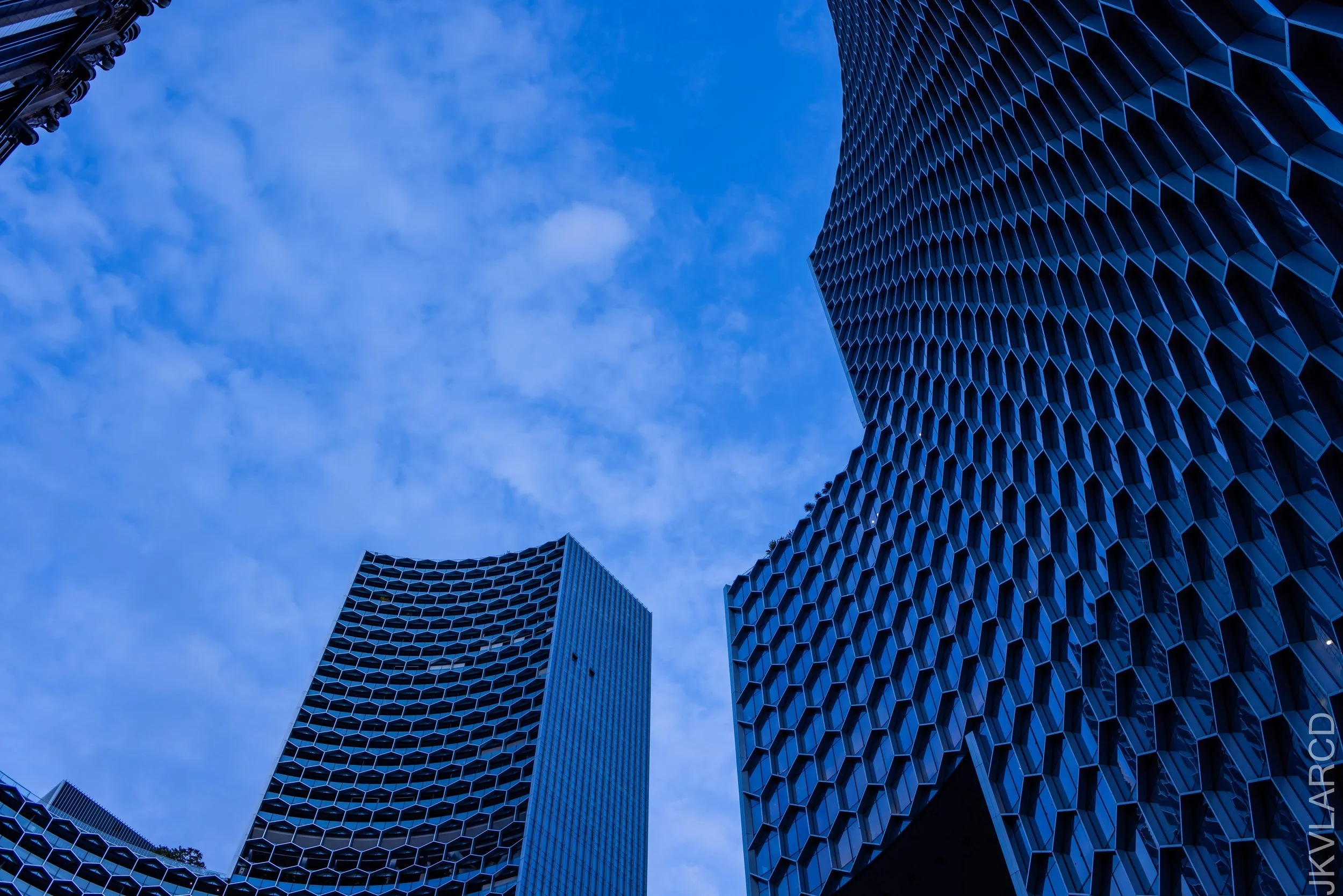 EOS R5_2021_10_30_9023.jpg