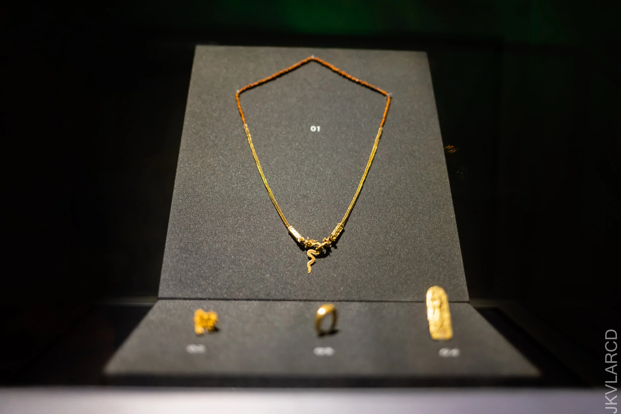 EOS R5_2021_11_02_9351.jpg