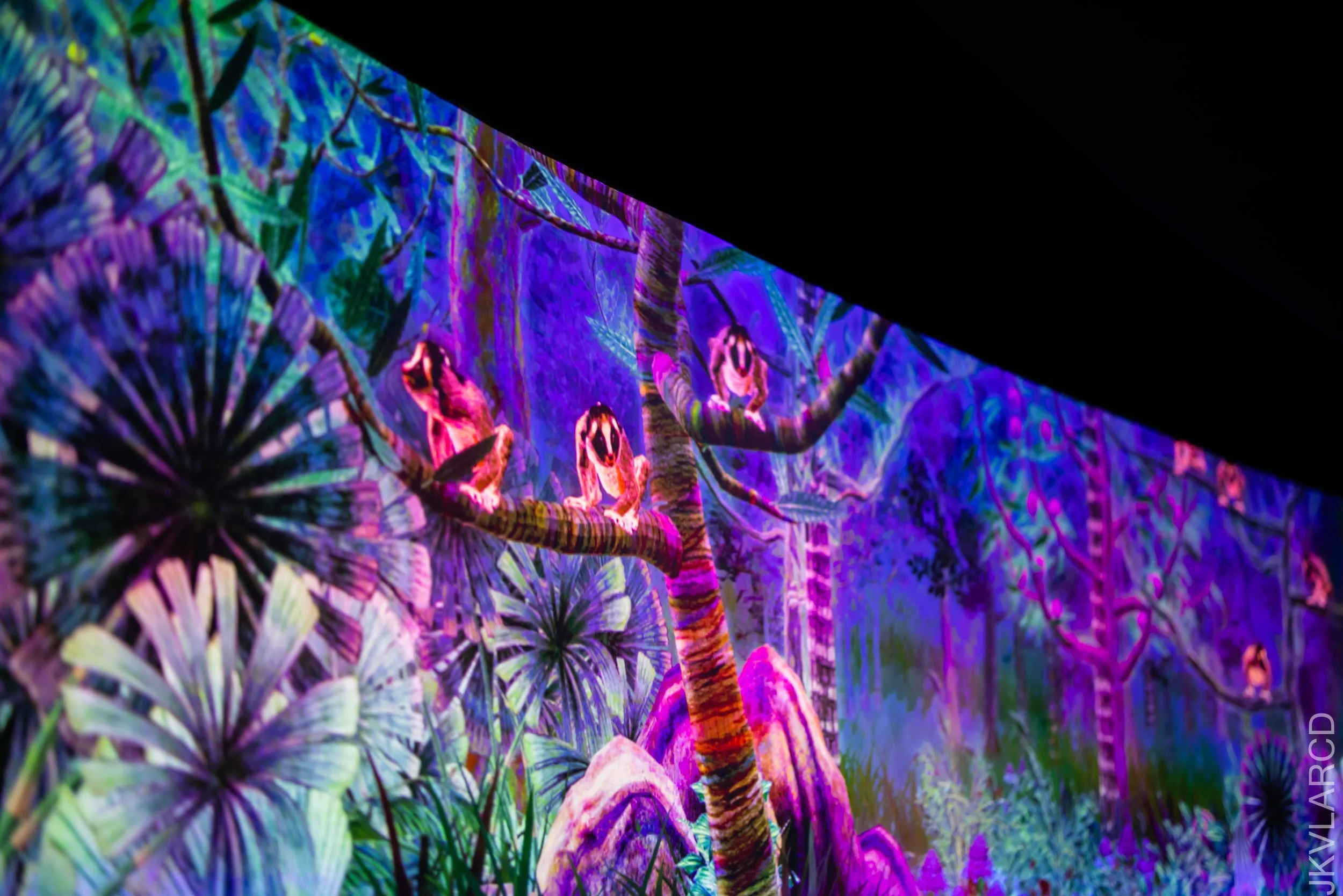 EOS R5_2021_11_02_9439.jpg