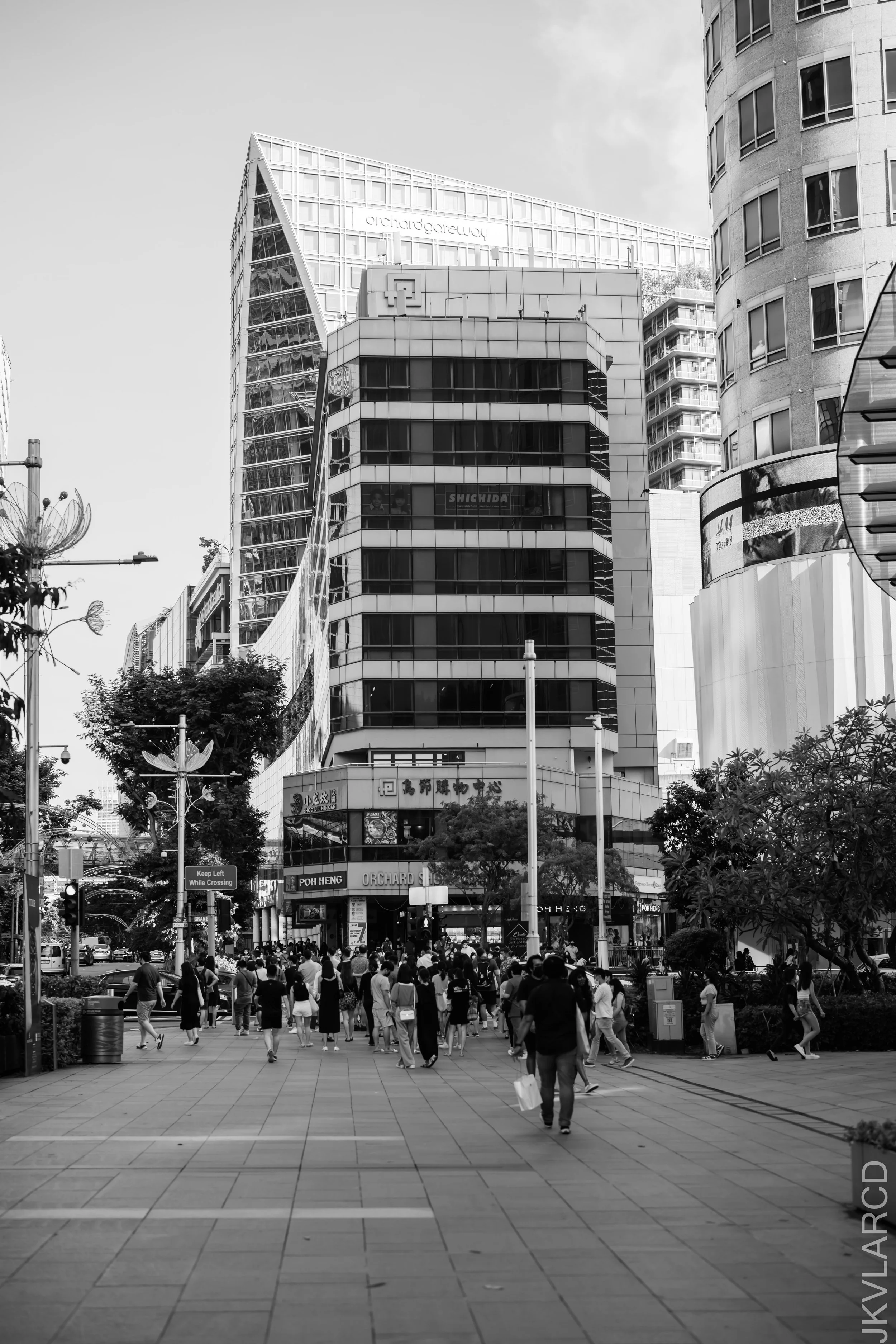 EOS R5_2021_11_06_9620.jpg